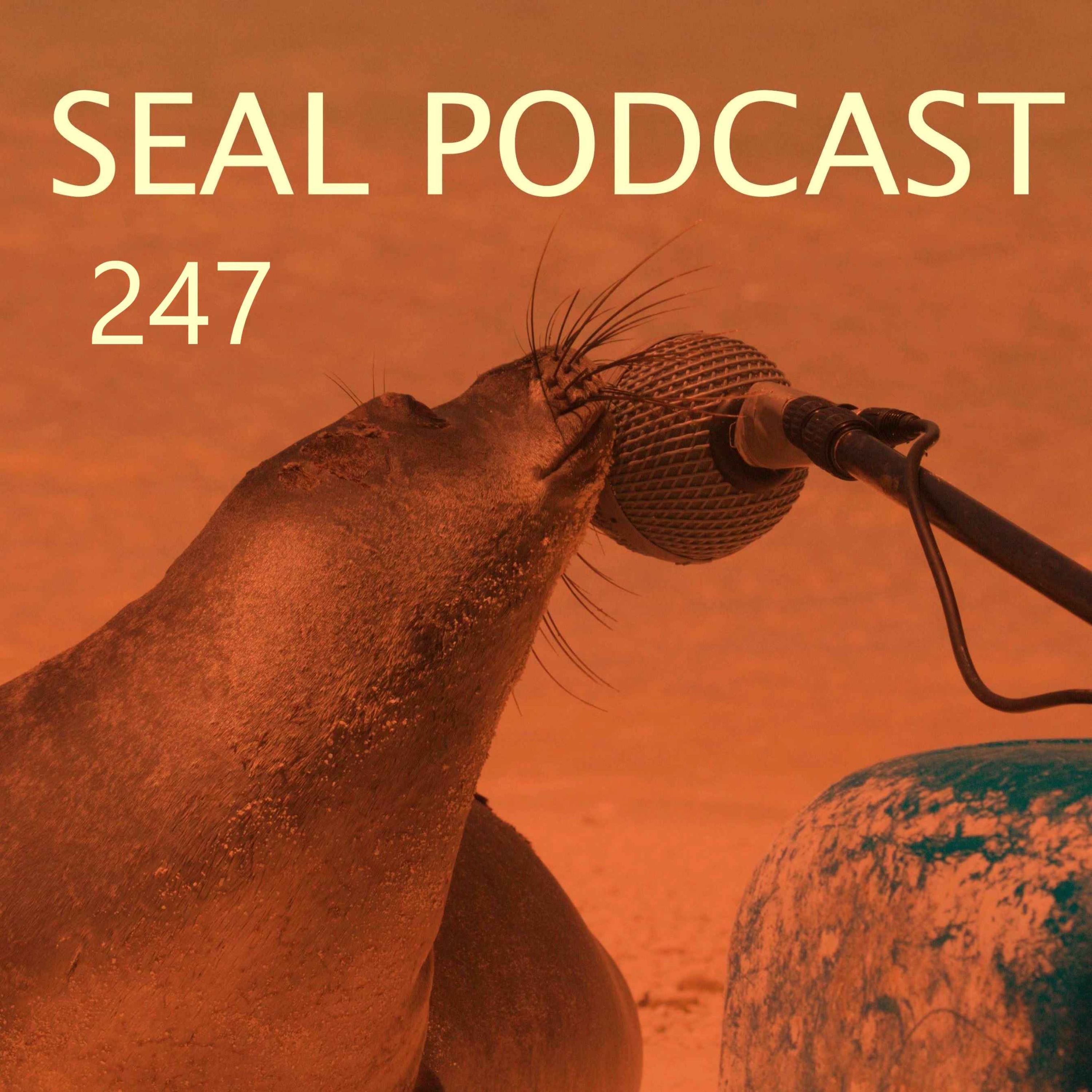 Episode 247 - Super Sub