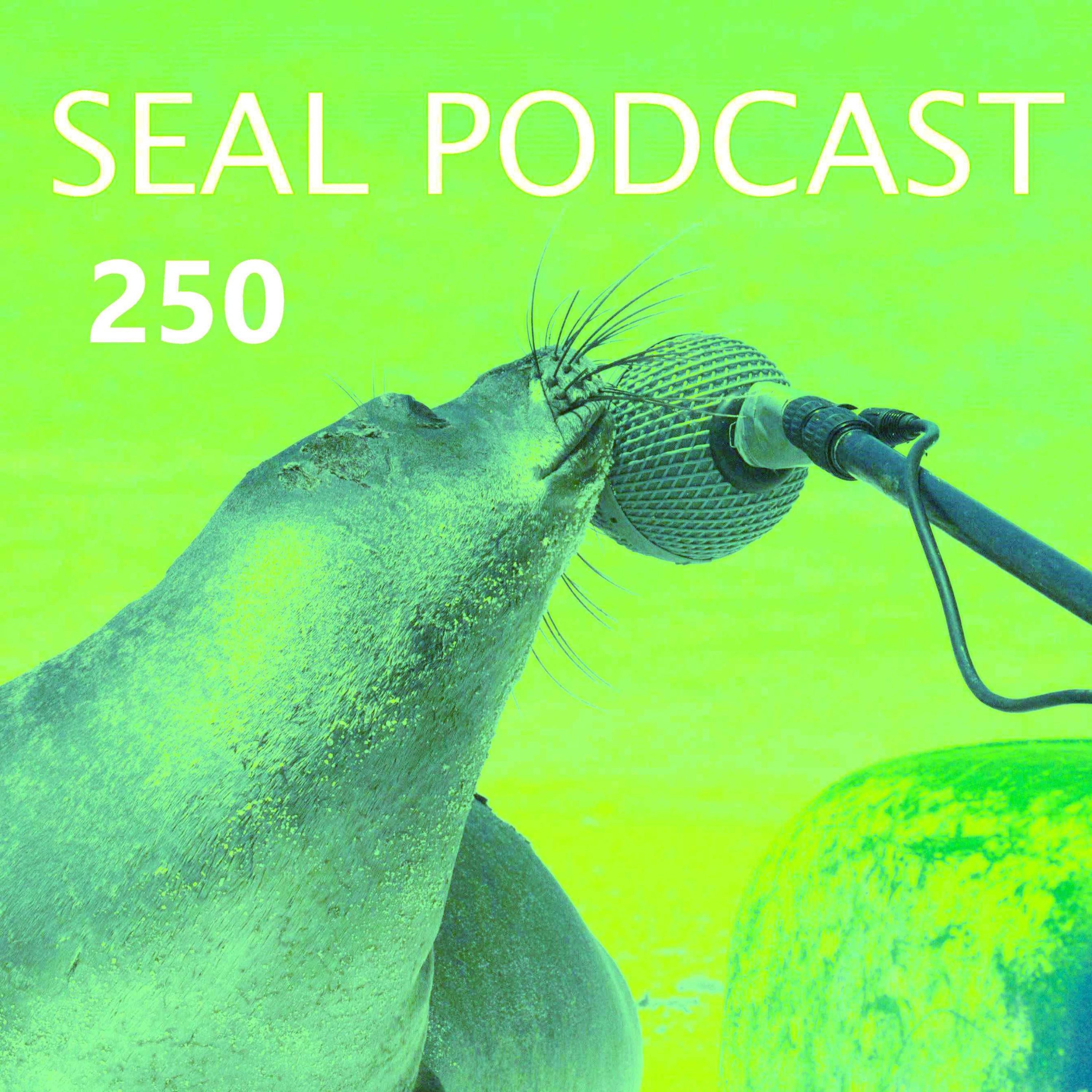 Episode 250 - A Number