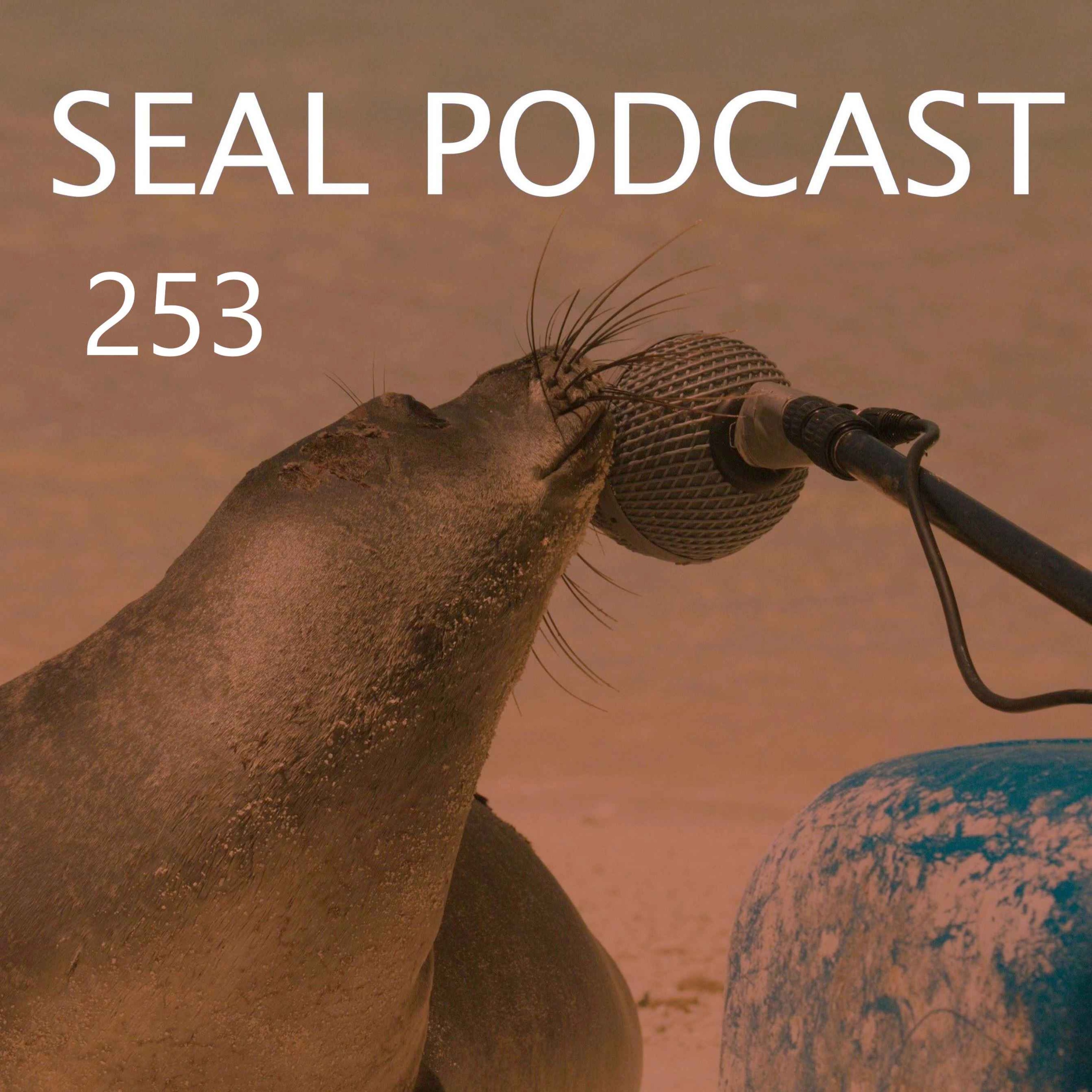 Episode 253 - Great Pause