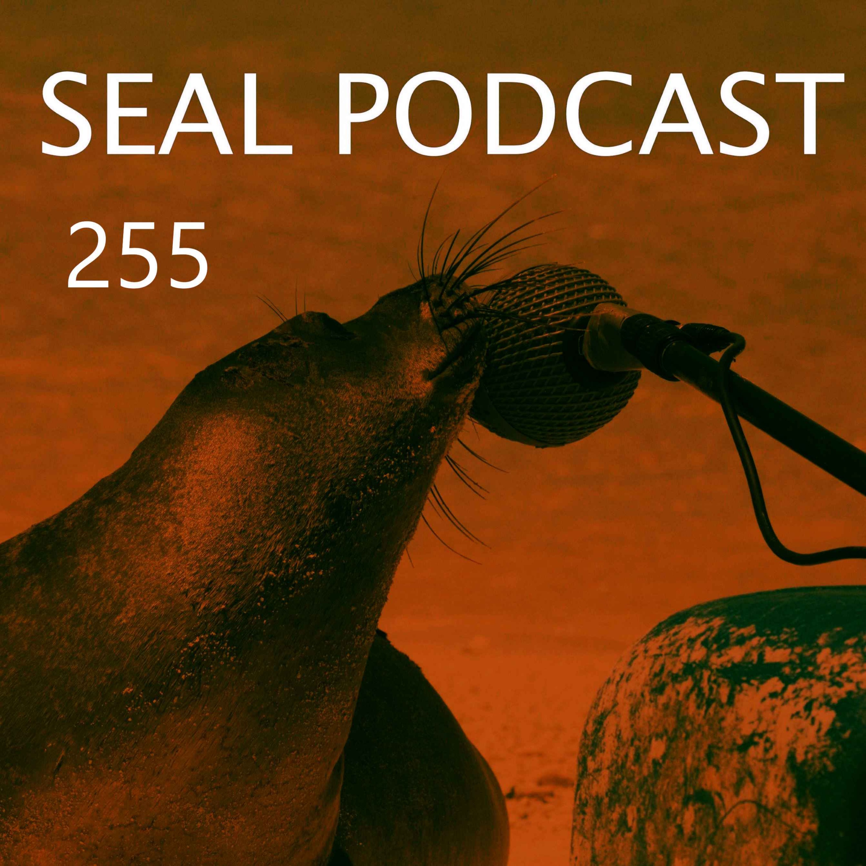 Episode 255 - Chinny Wag