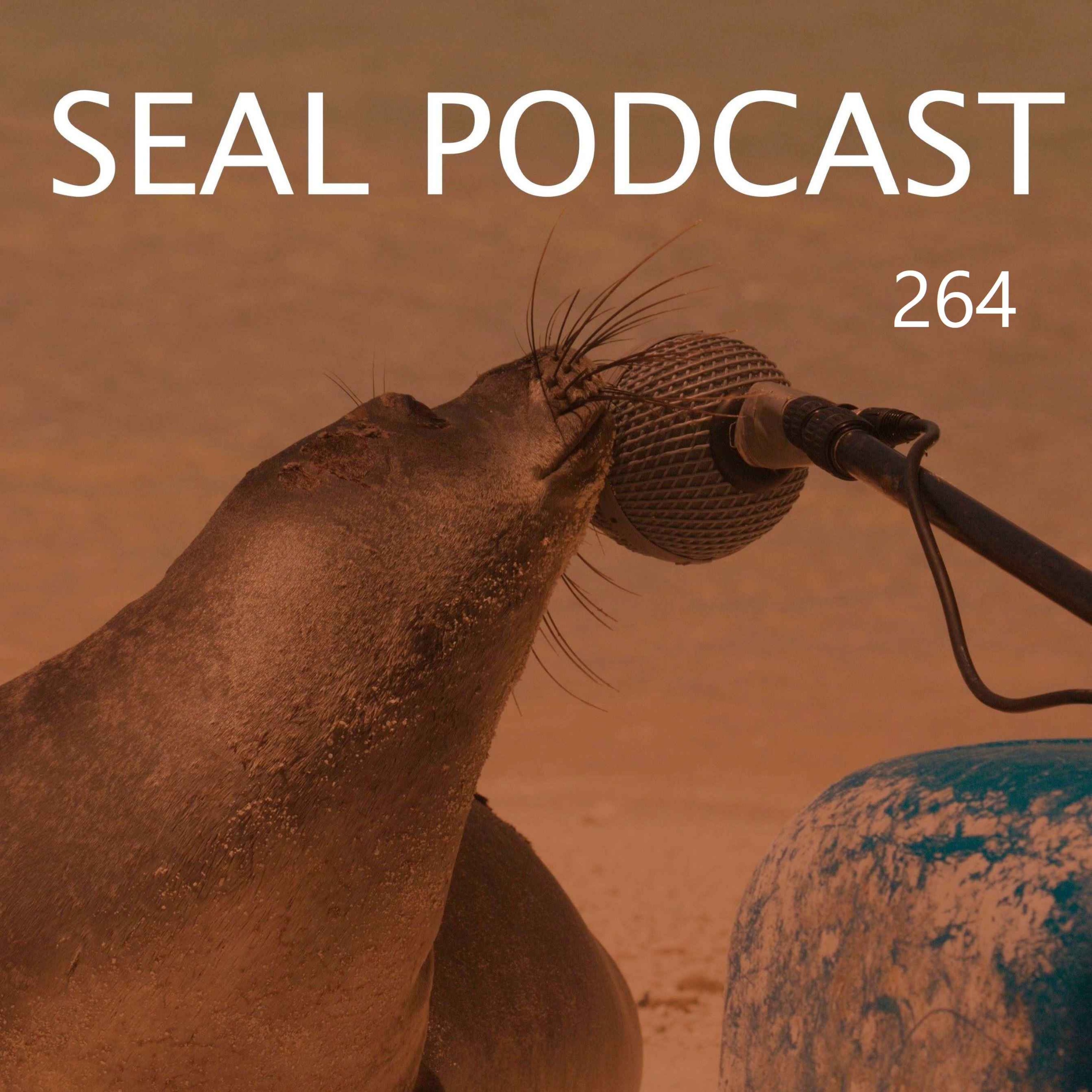 Episode 264 - Jernsey Boys