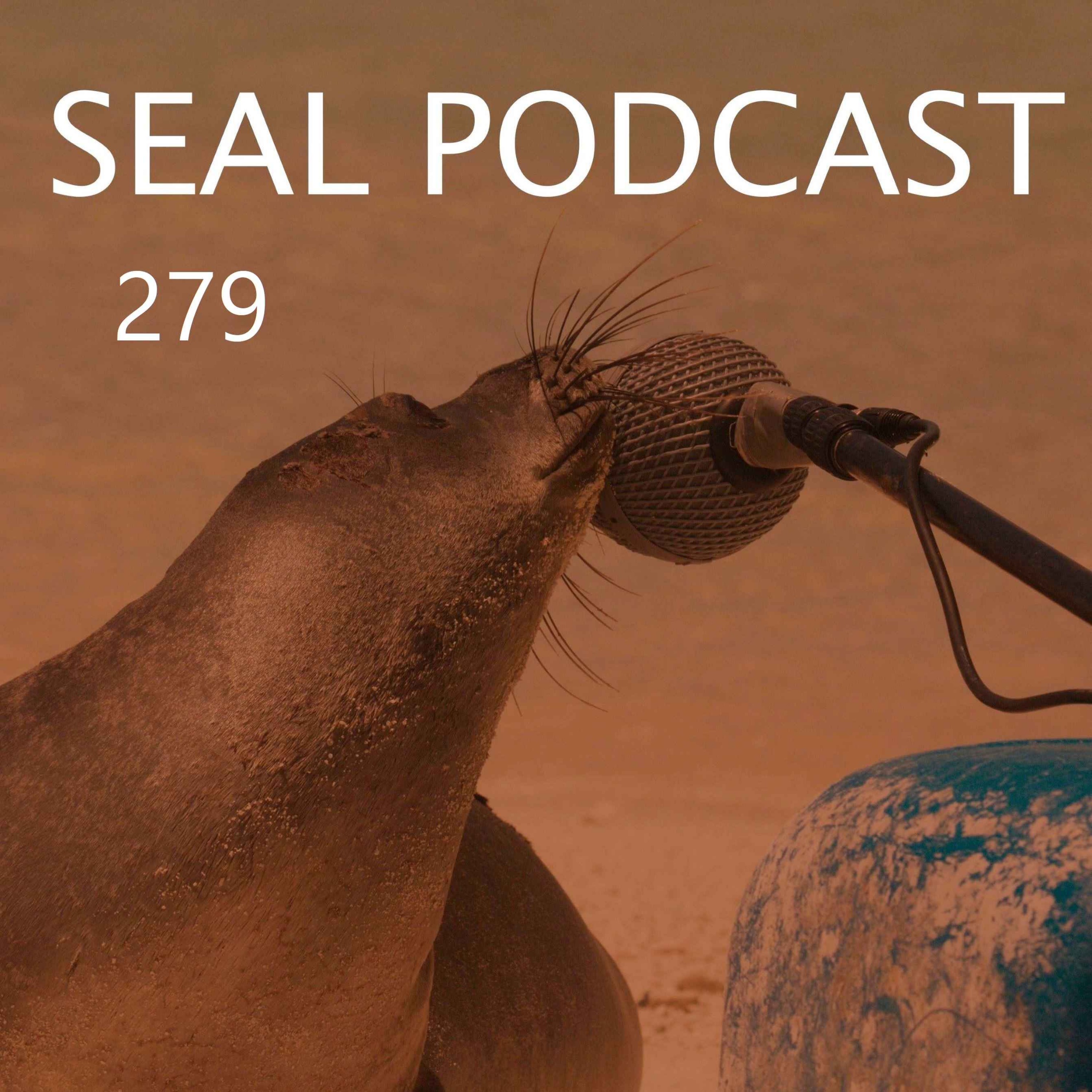 Episode 279 - Boot Switch
