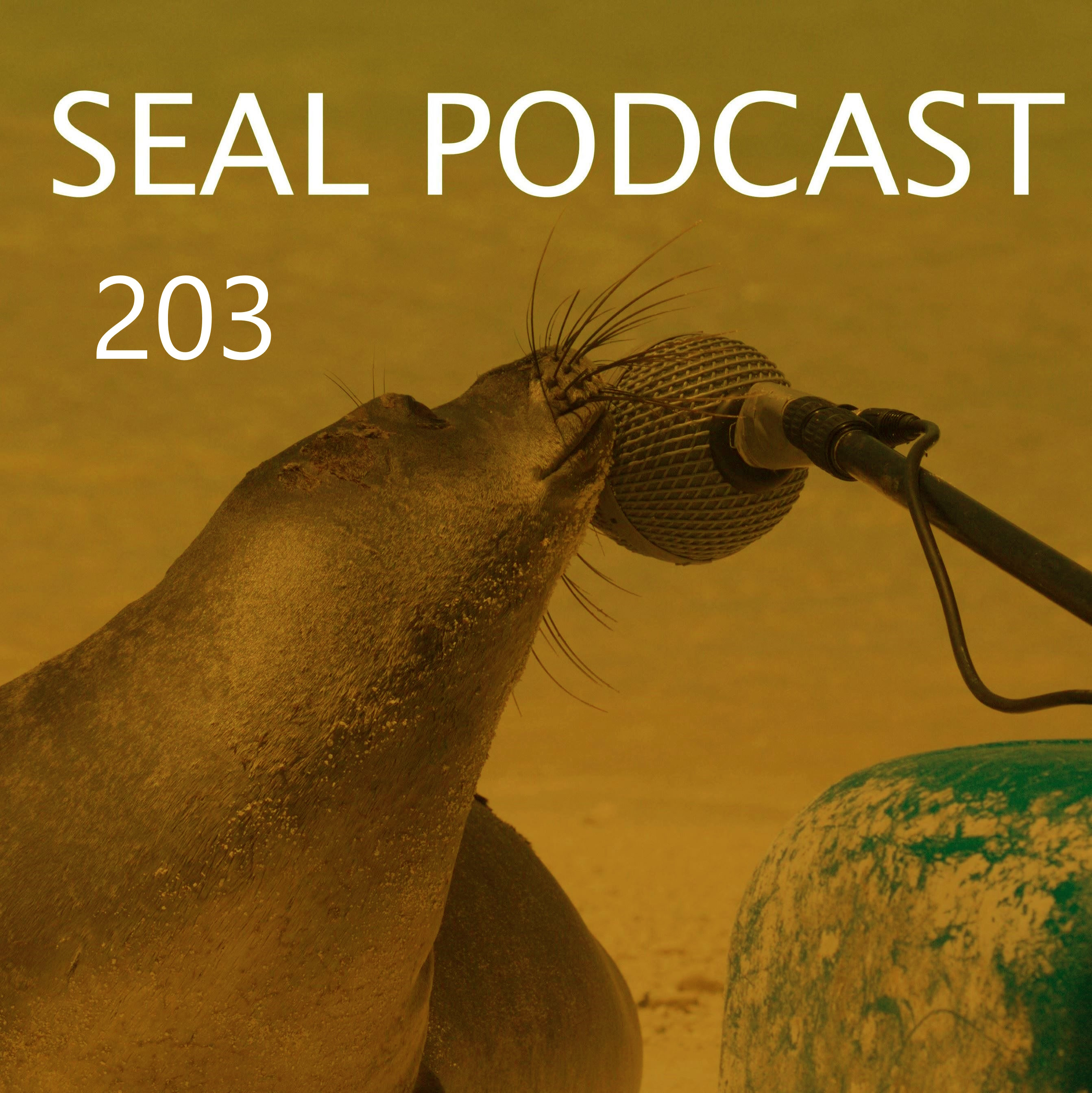 Episode 203 - Oldman’s Belly