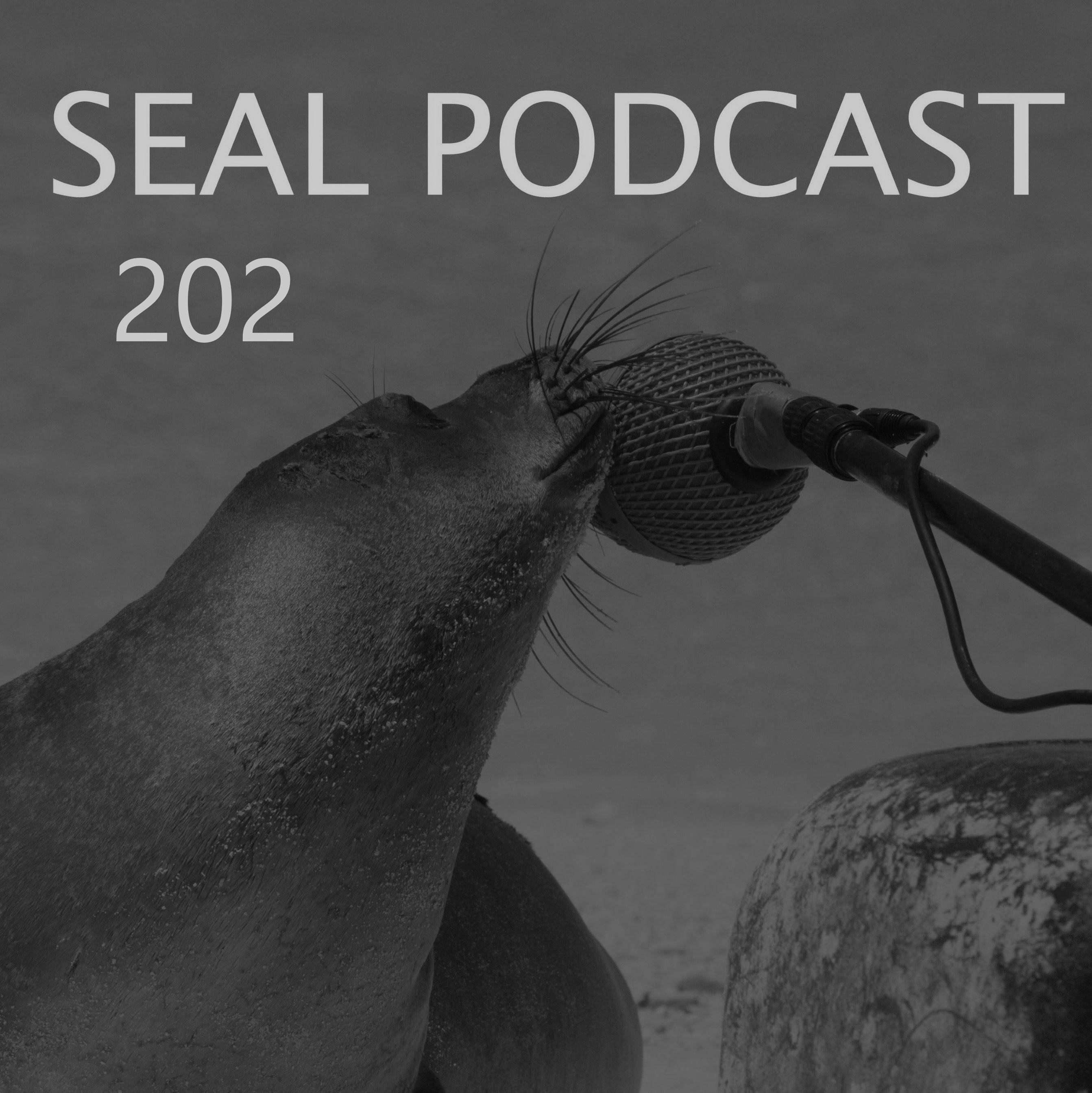 Episode 202 - Pilch Returns