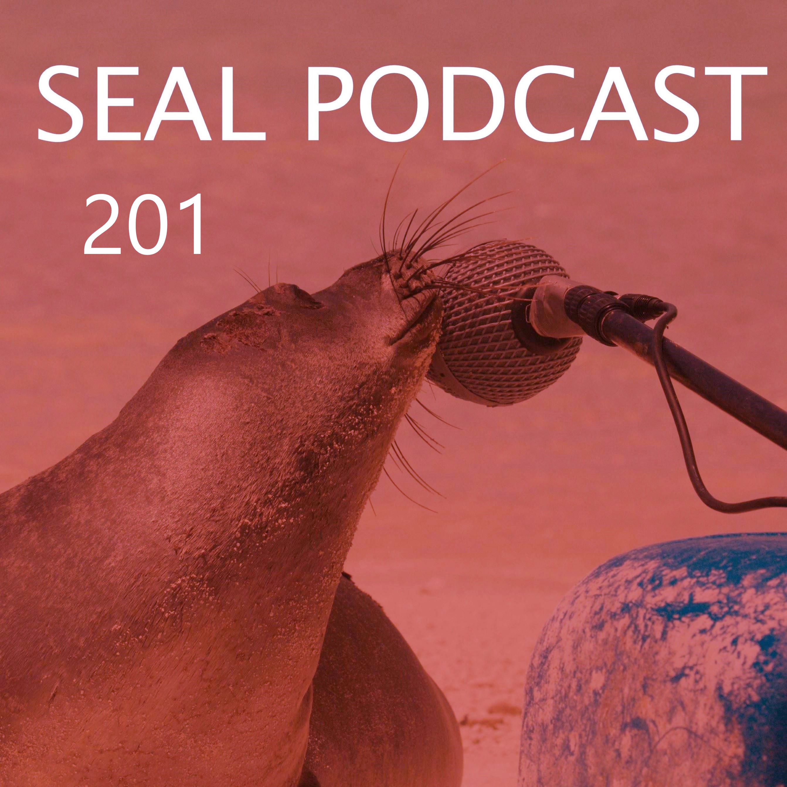 Episode 201 - Gun Brella