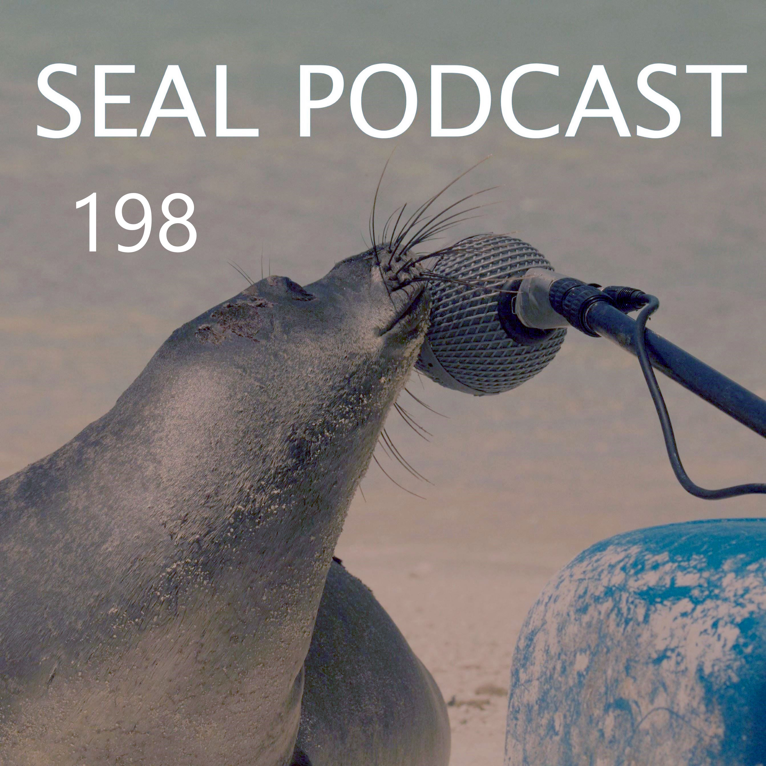 Episode 198 - Holy Toad