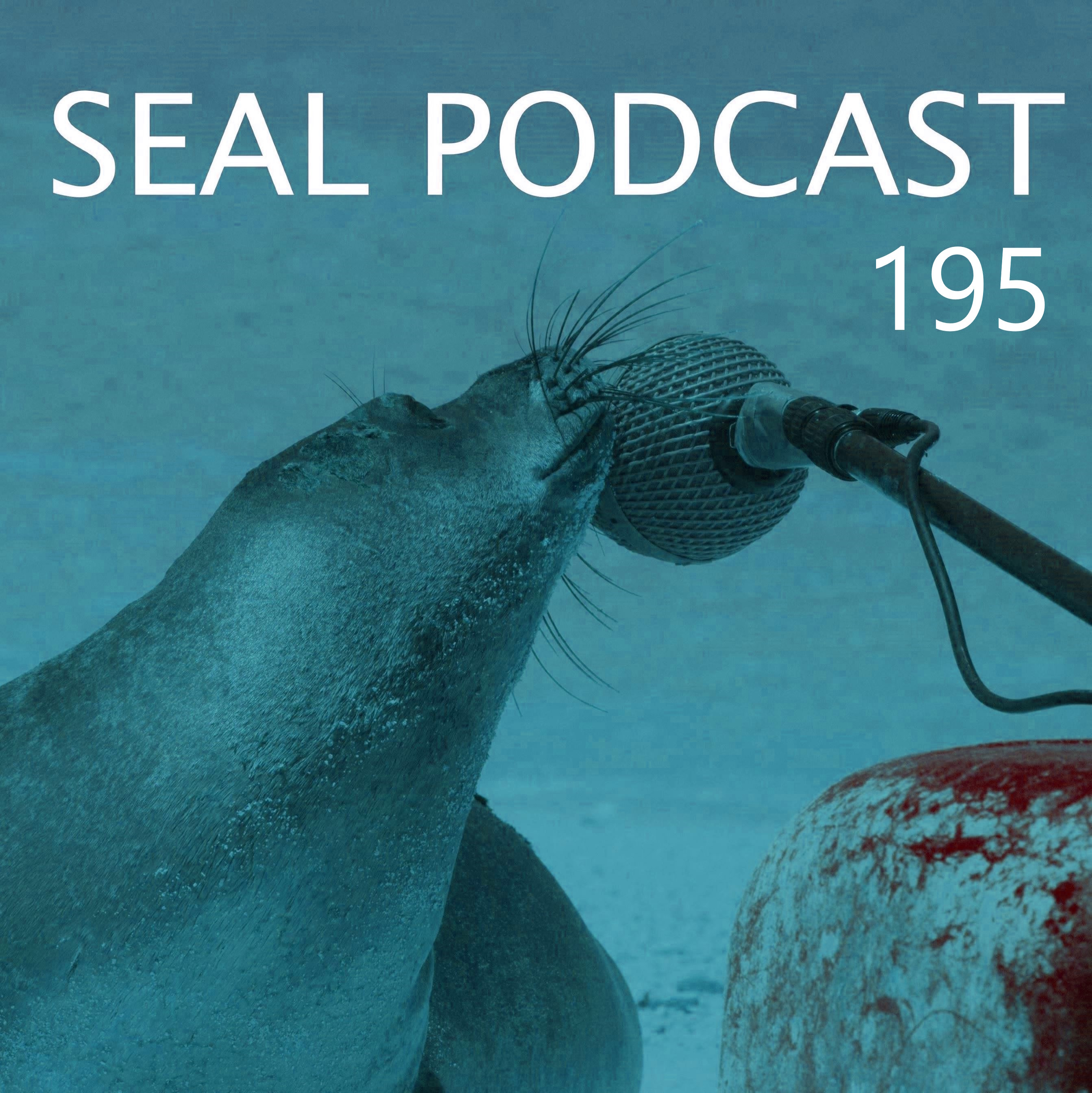 Episode 195 - Demo City