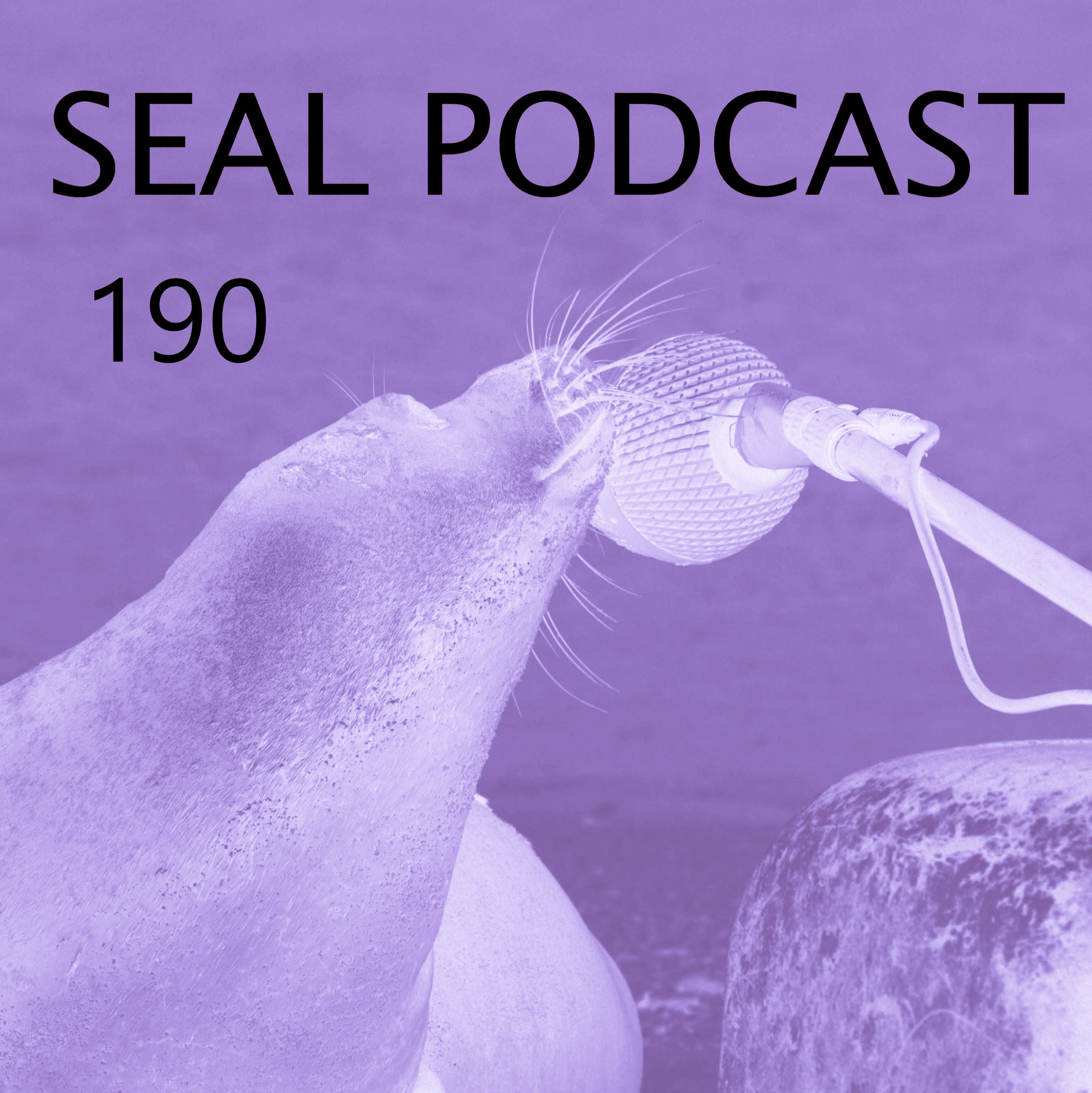 Episode 190 - Arab Strap