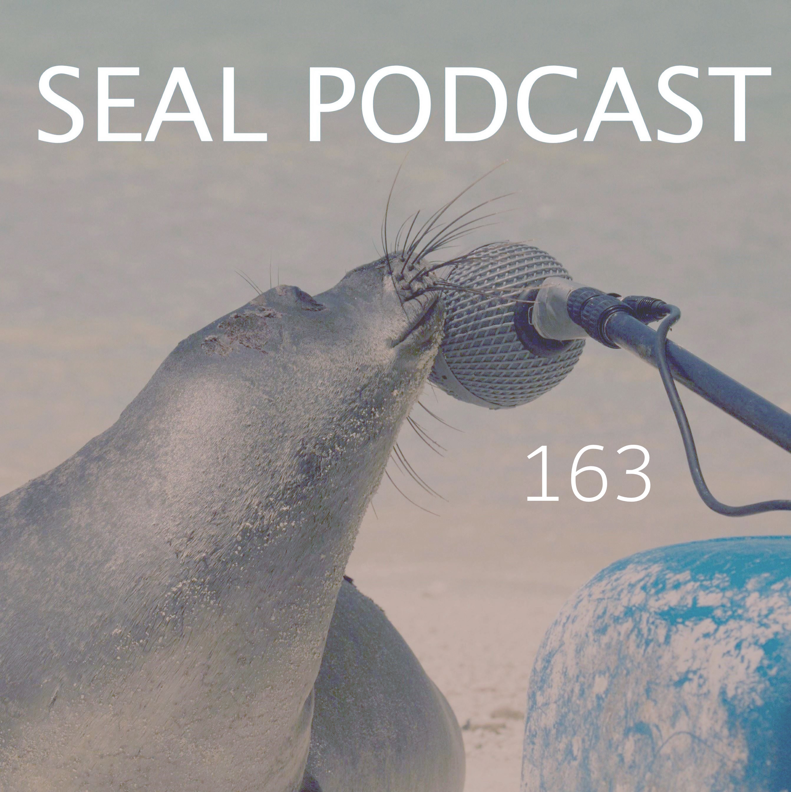 Episode 163 - No Words