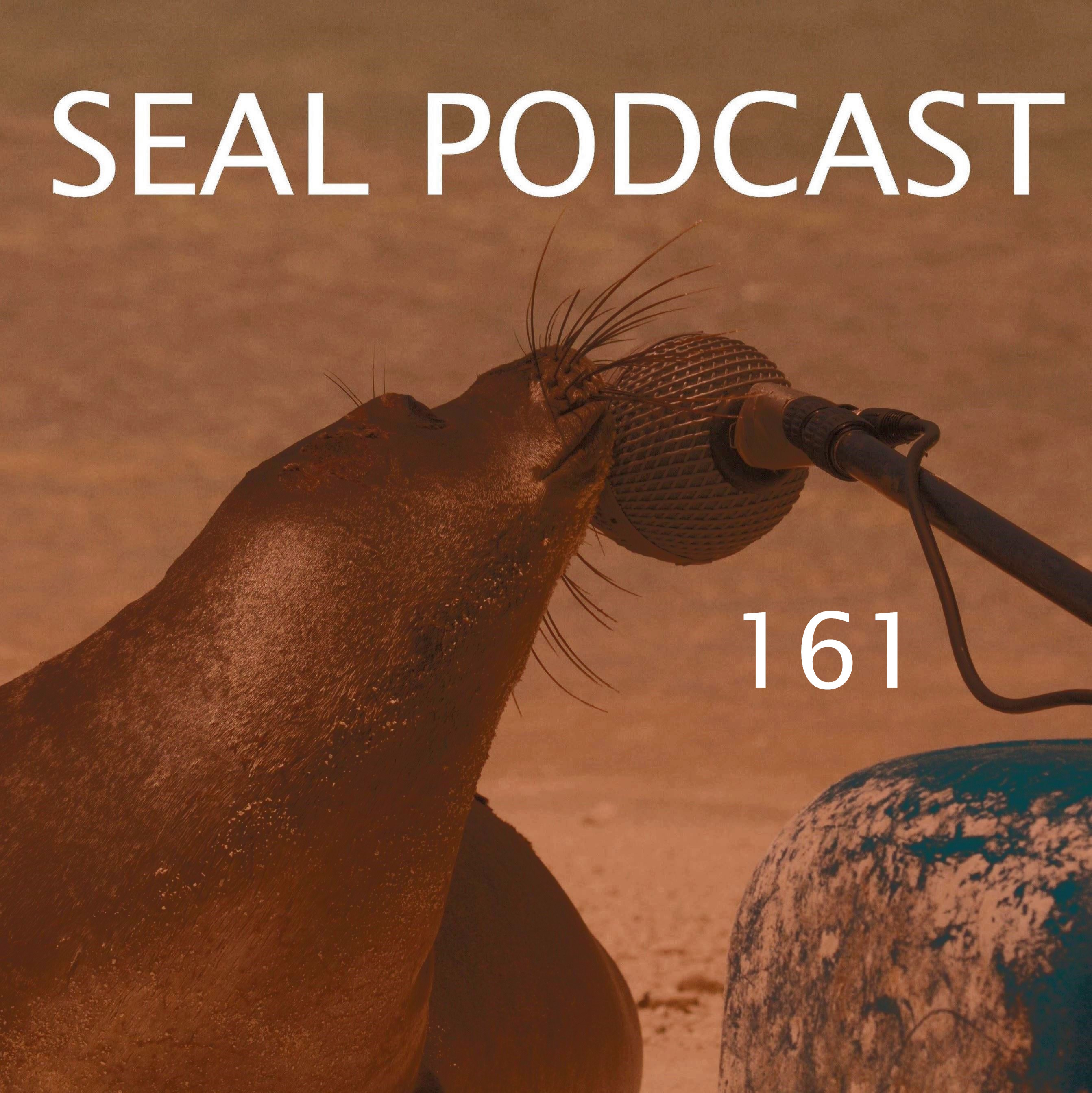 Episode 161 - No Title