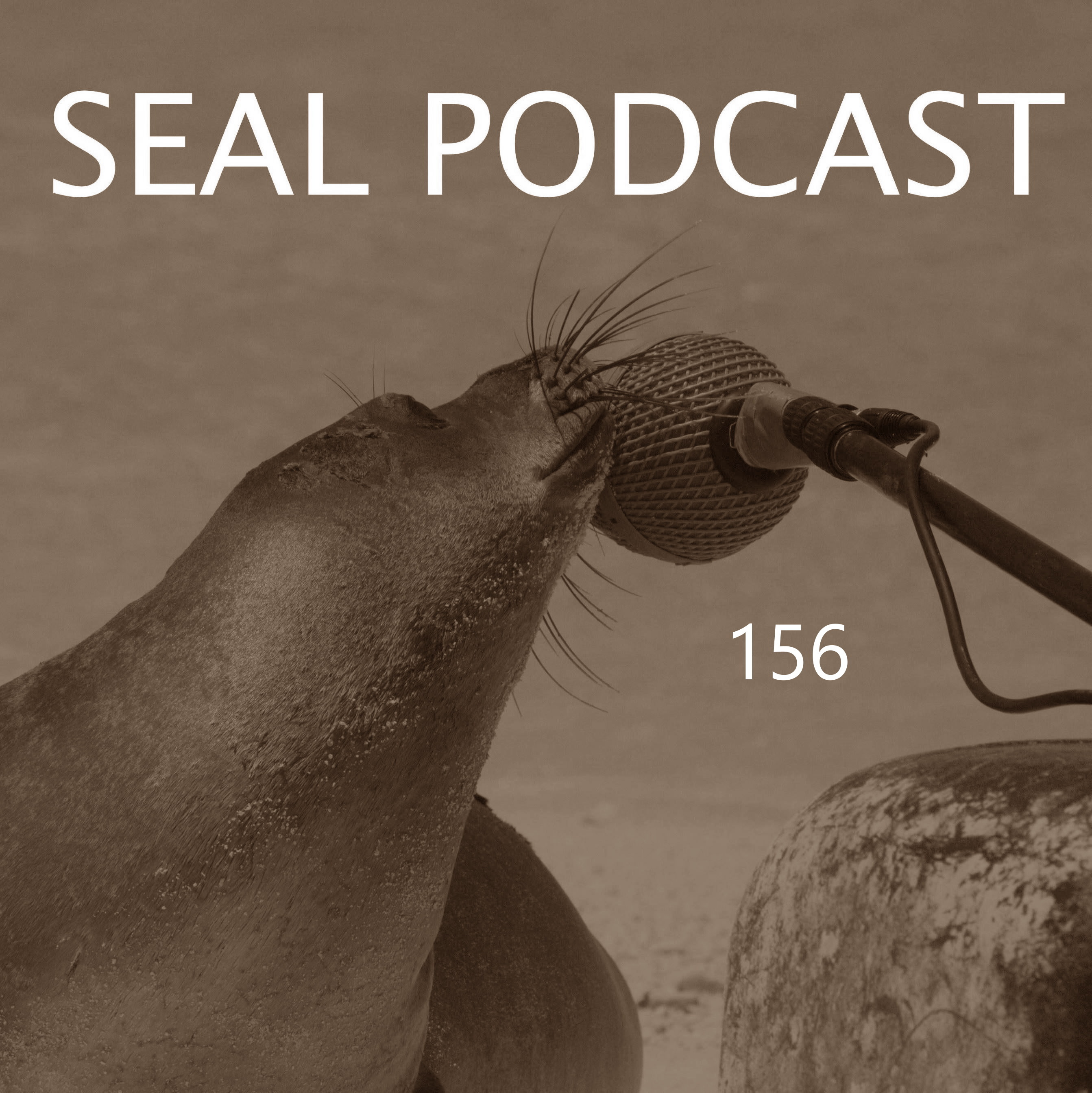 Episode 156 - Ball Pit