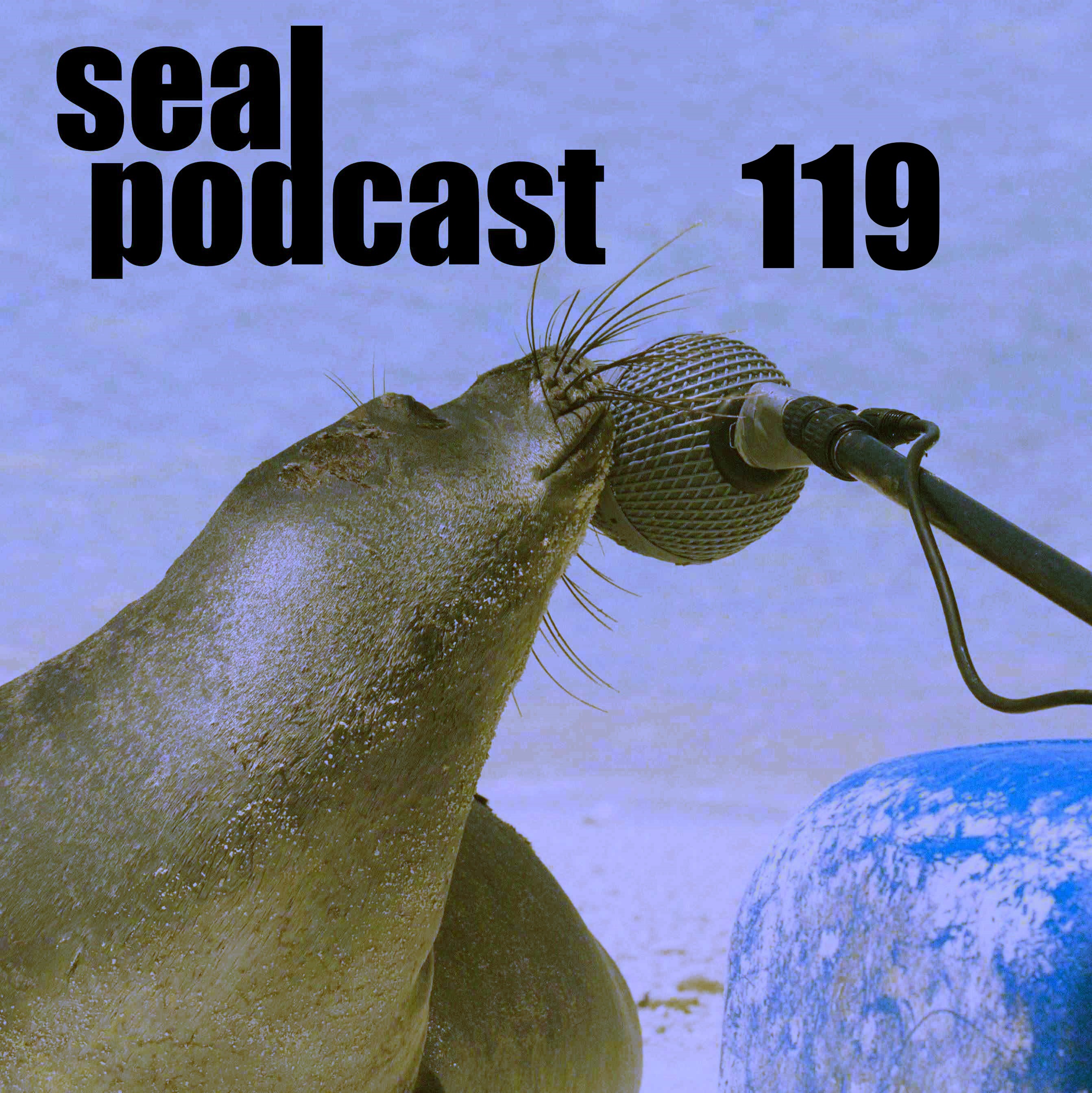 Episode 119 - Big Chicken