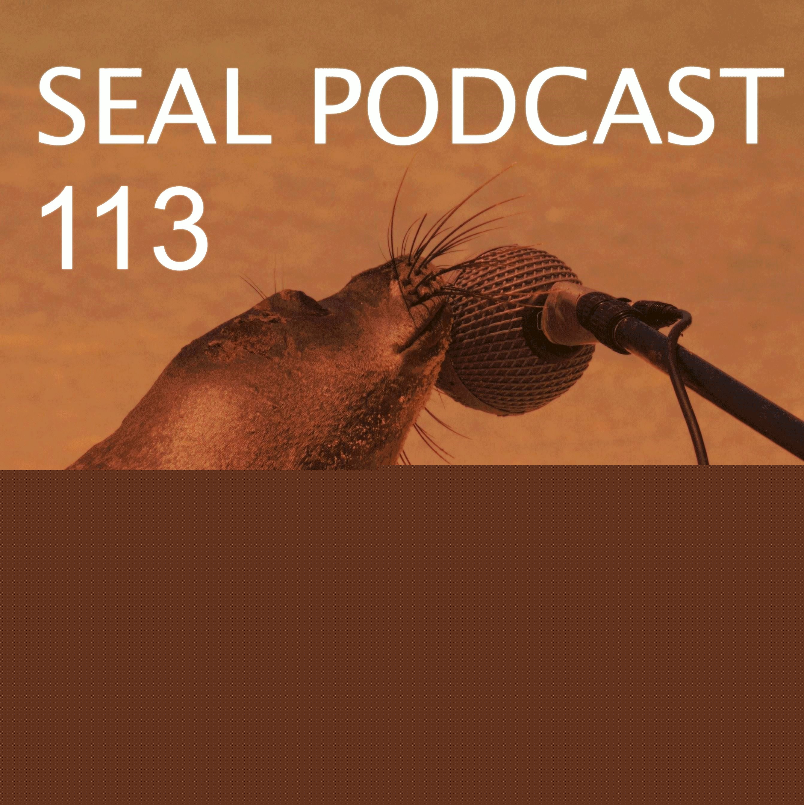 Episode 113 - Usual Suspects