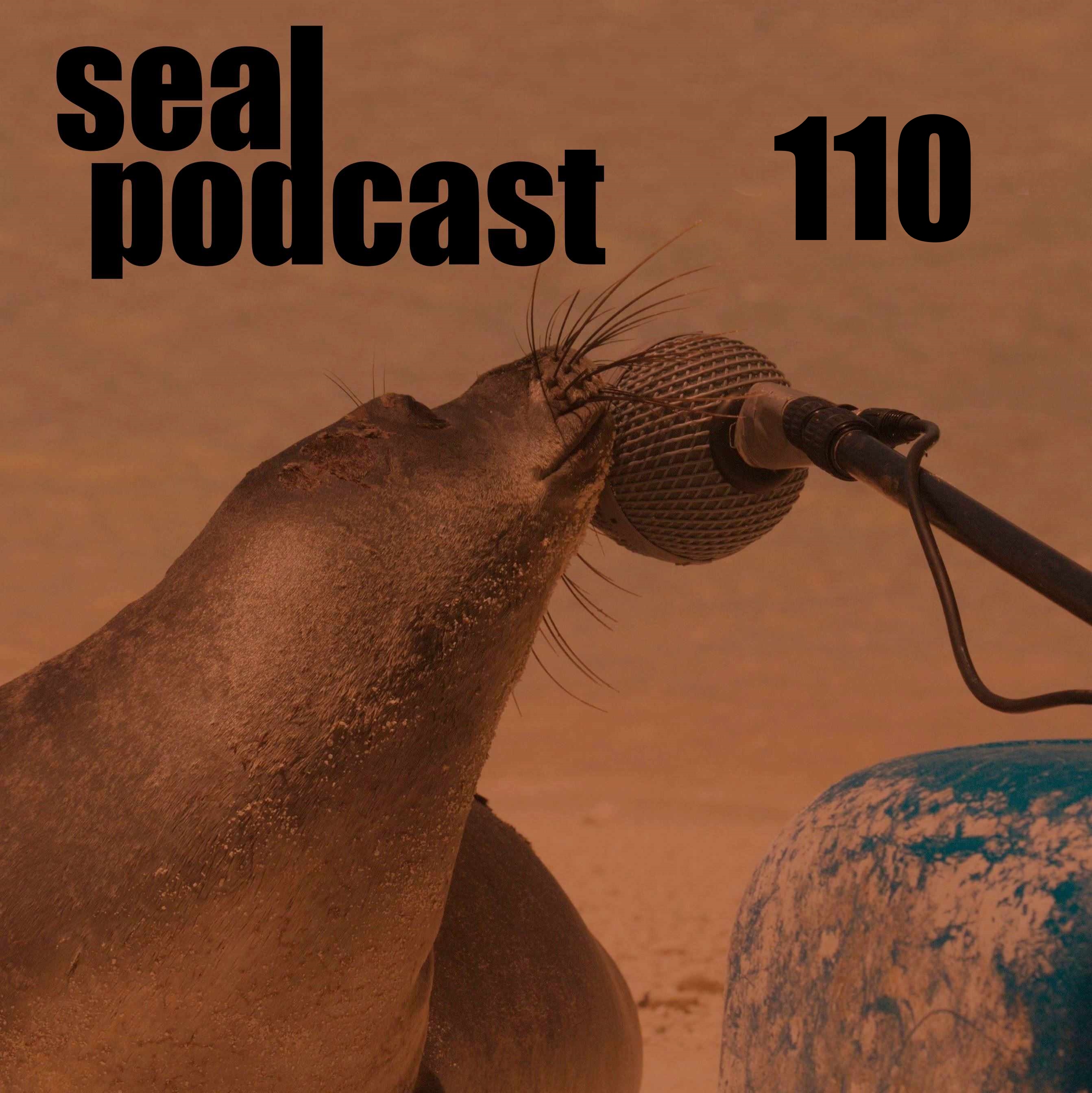 Episode 110 - Coffin Dodger