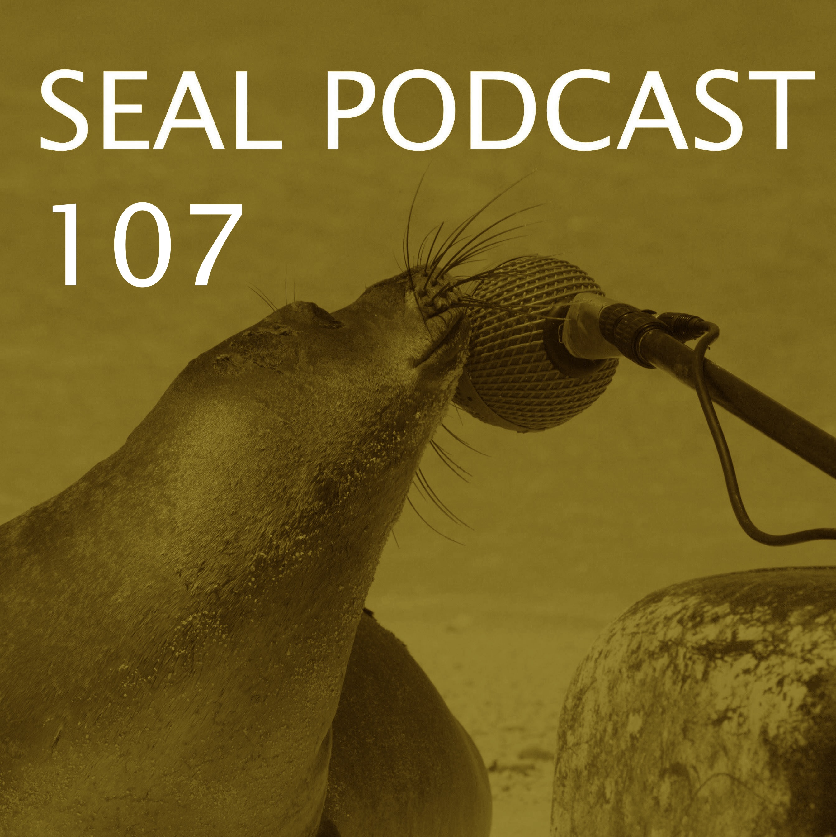 Episode 107 - Ball Gazers