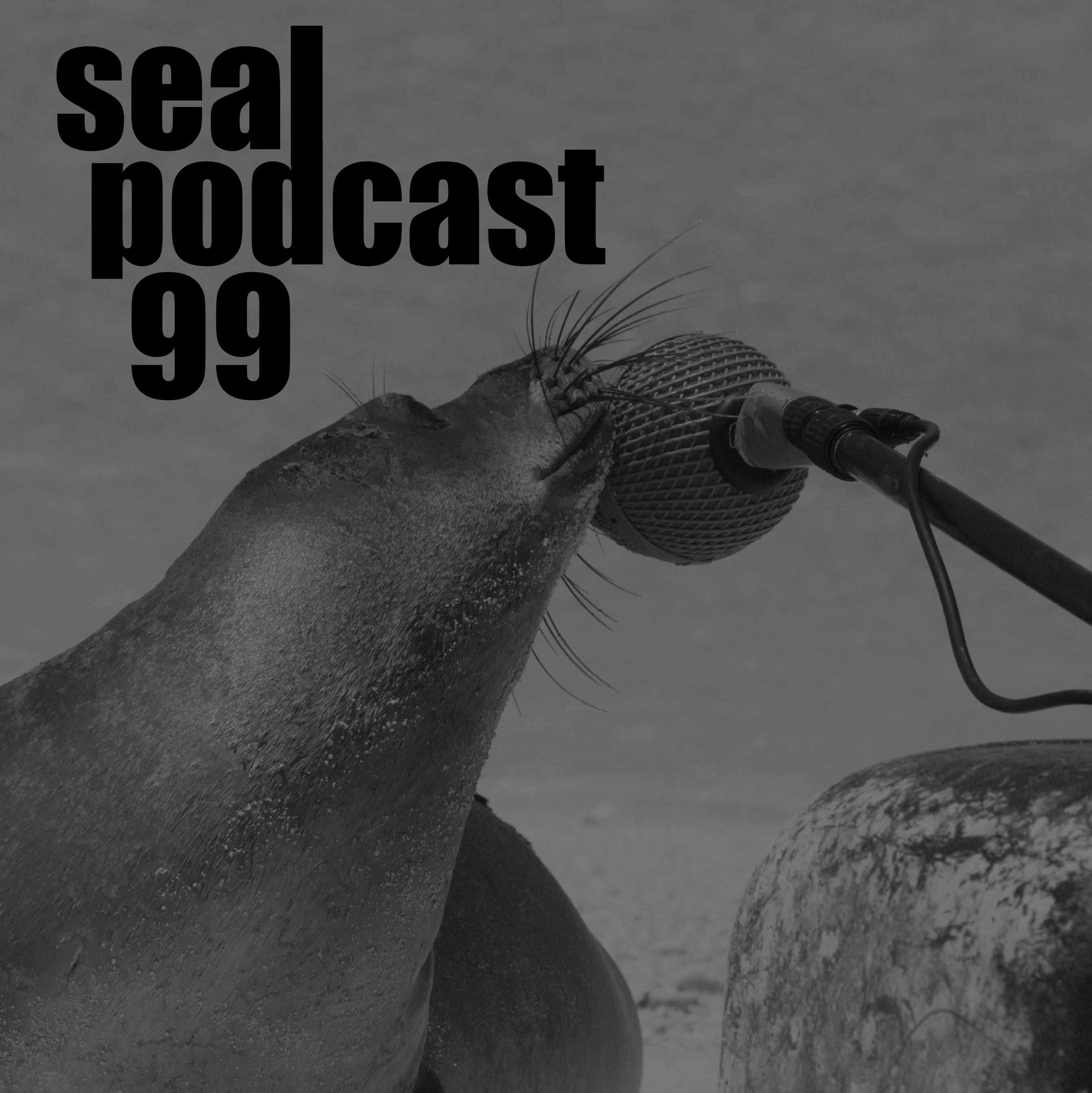 The Seal Podcast