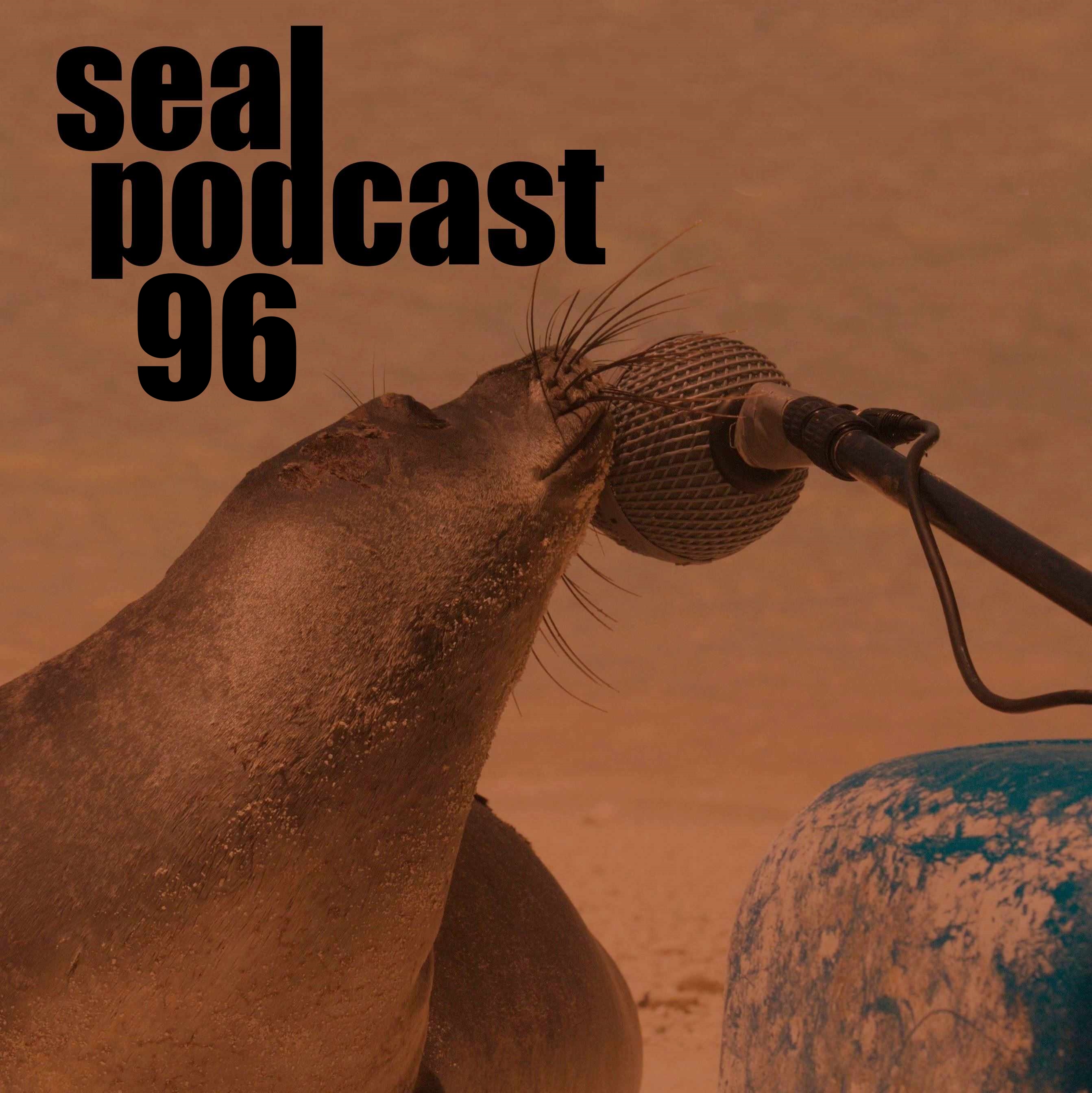 The Seal Podcast