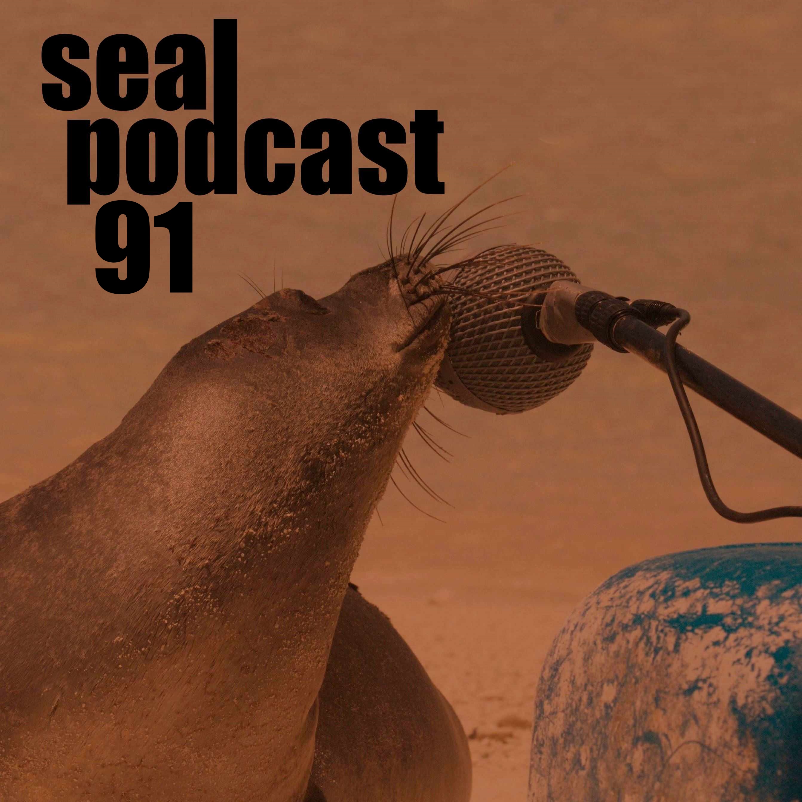 The Seal Podcast
