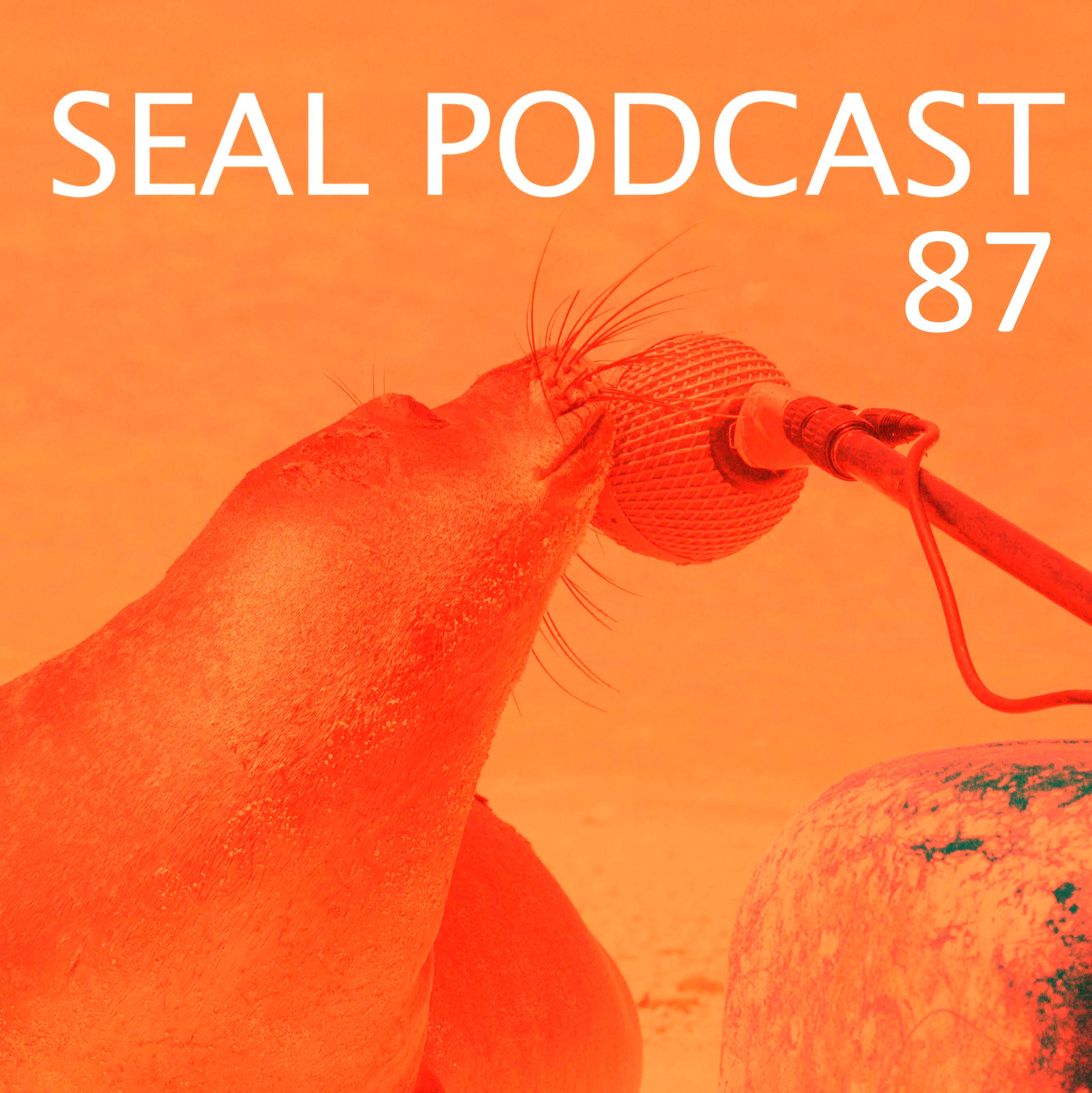 The Seal Podcast