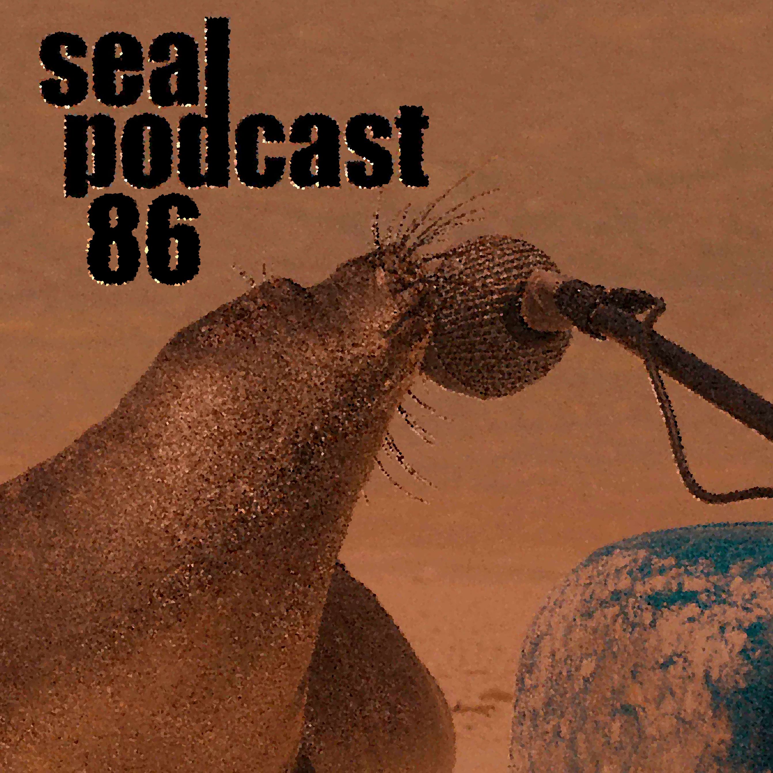 The Seal Podcast