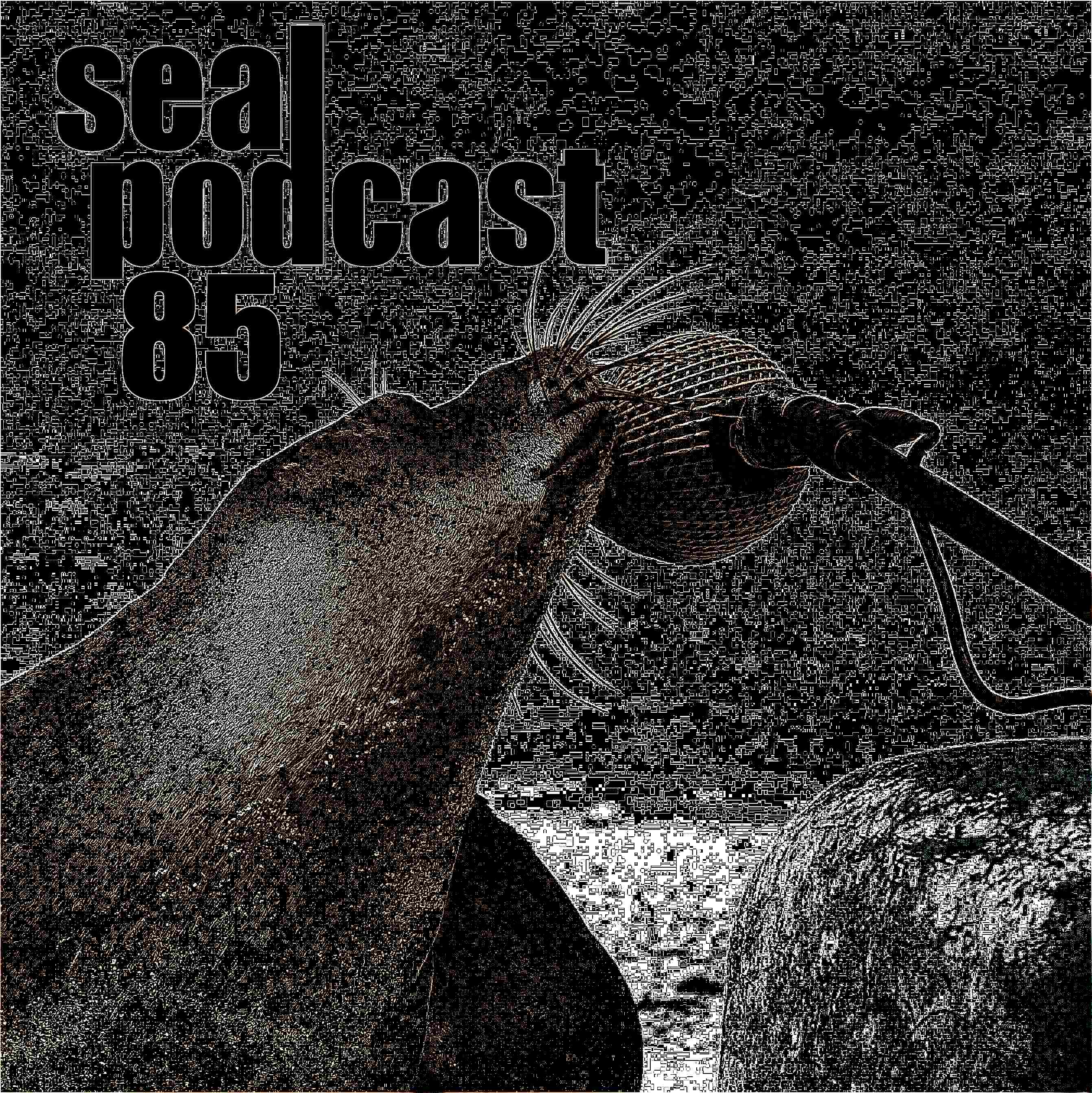 The Seal Podcast
