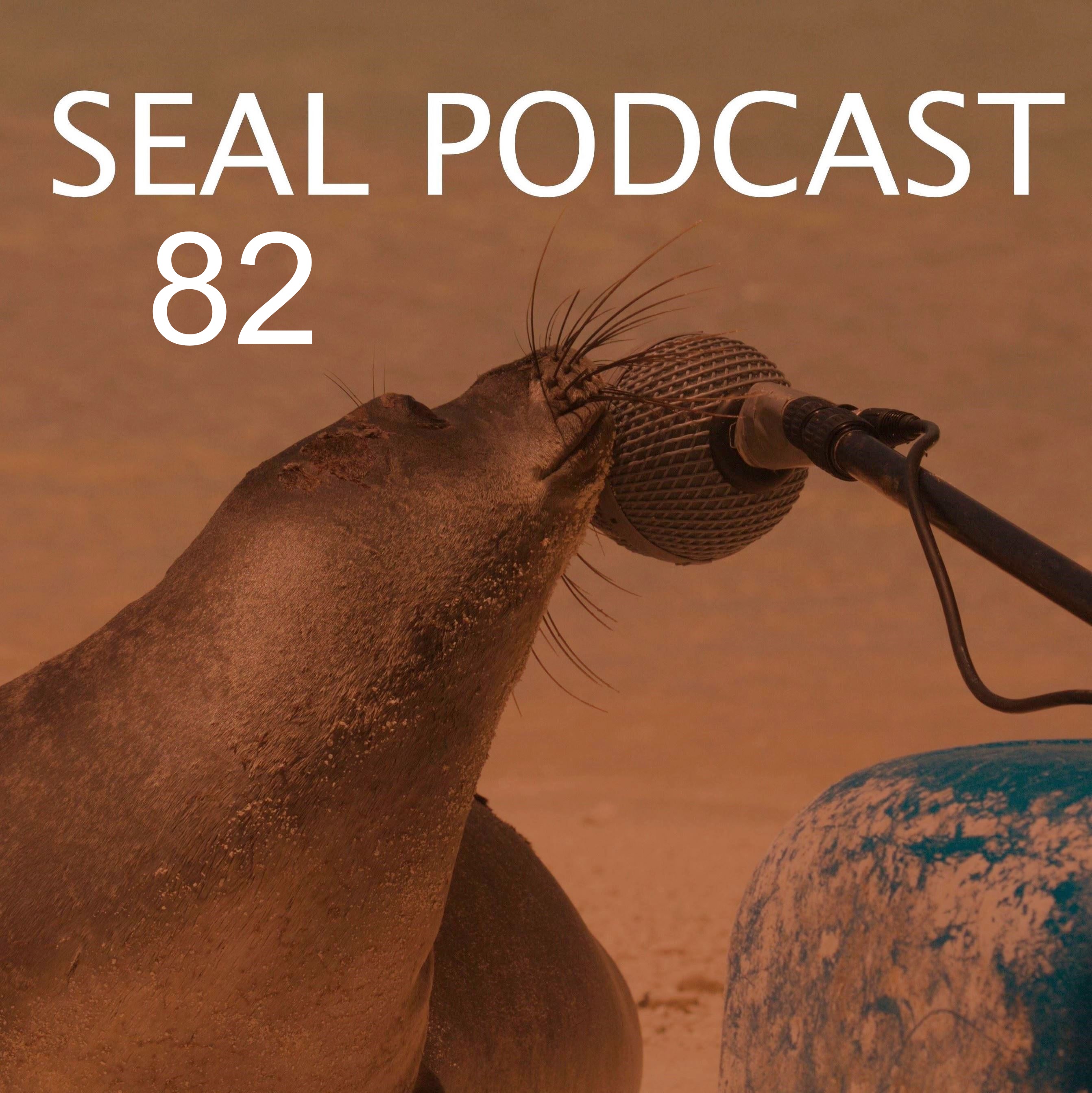 The Seal Podcast