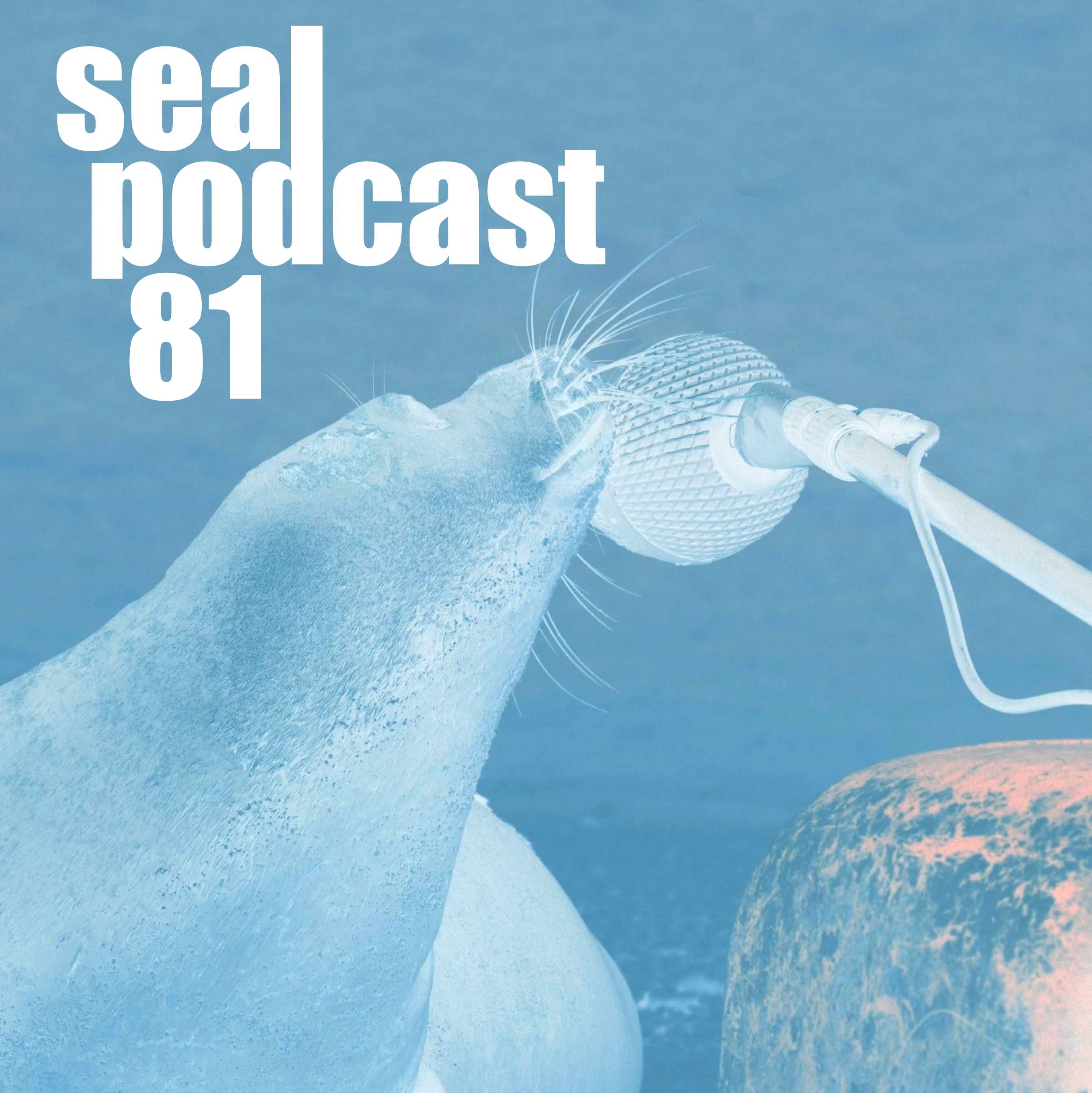The Seal Podcast