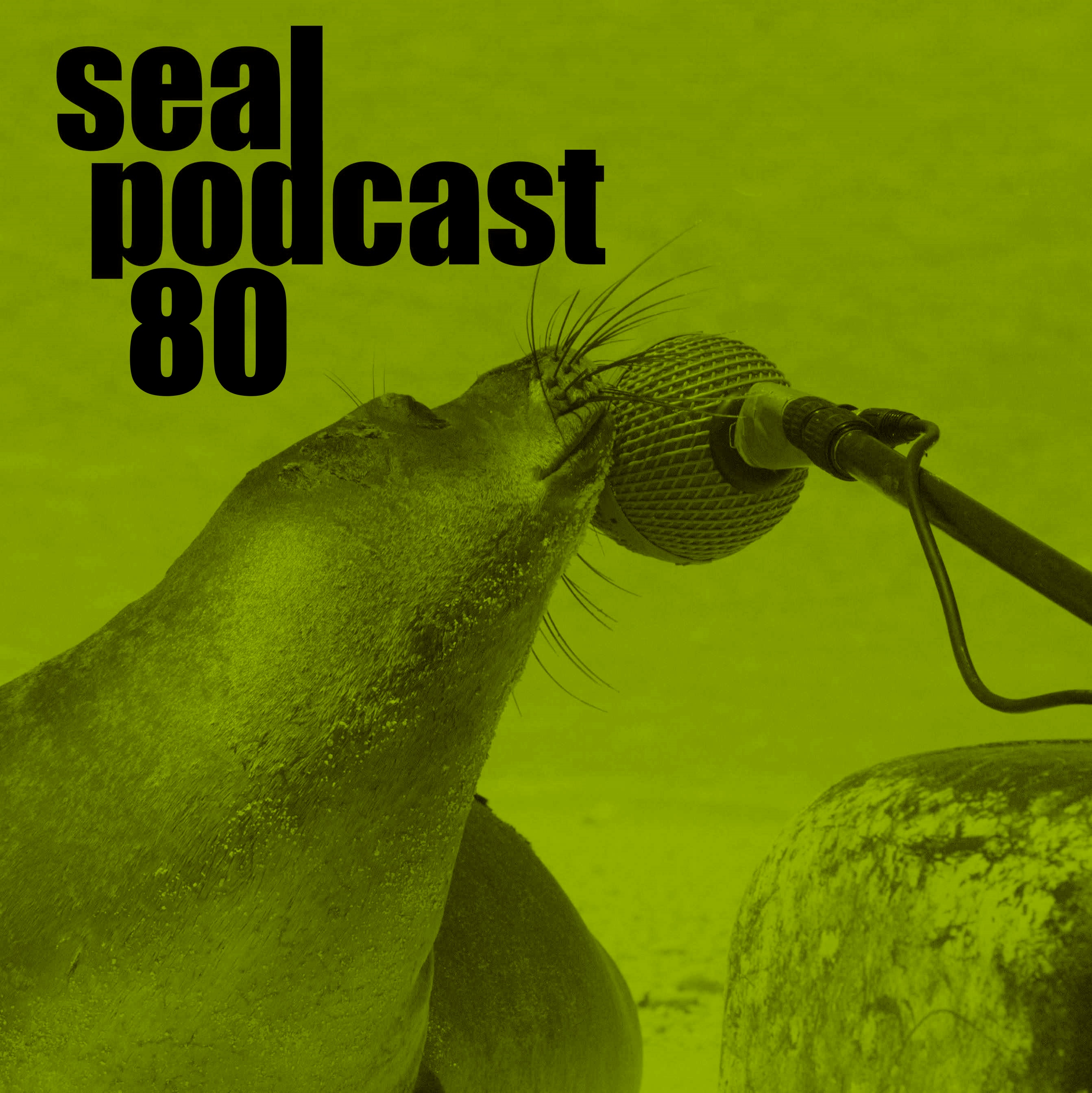 The Seal Podcast