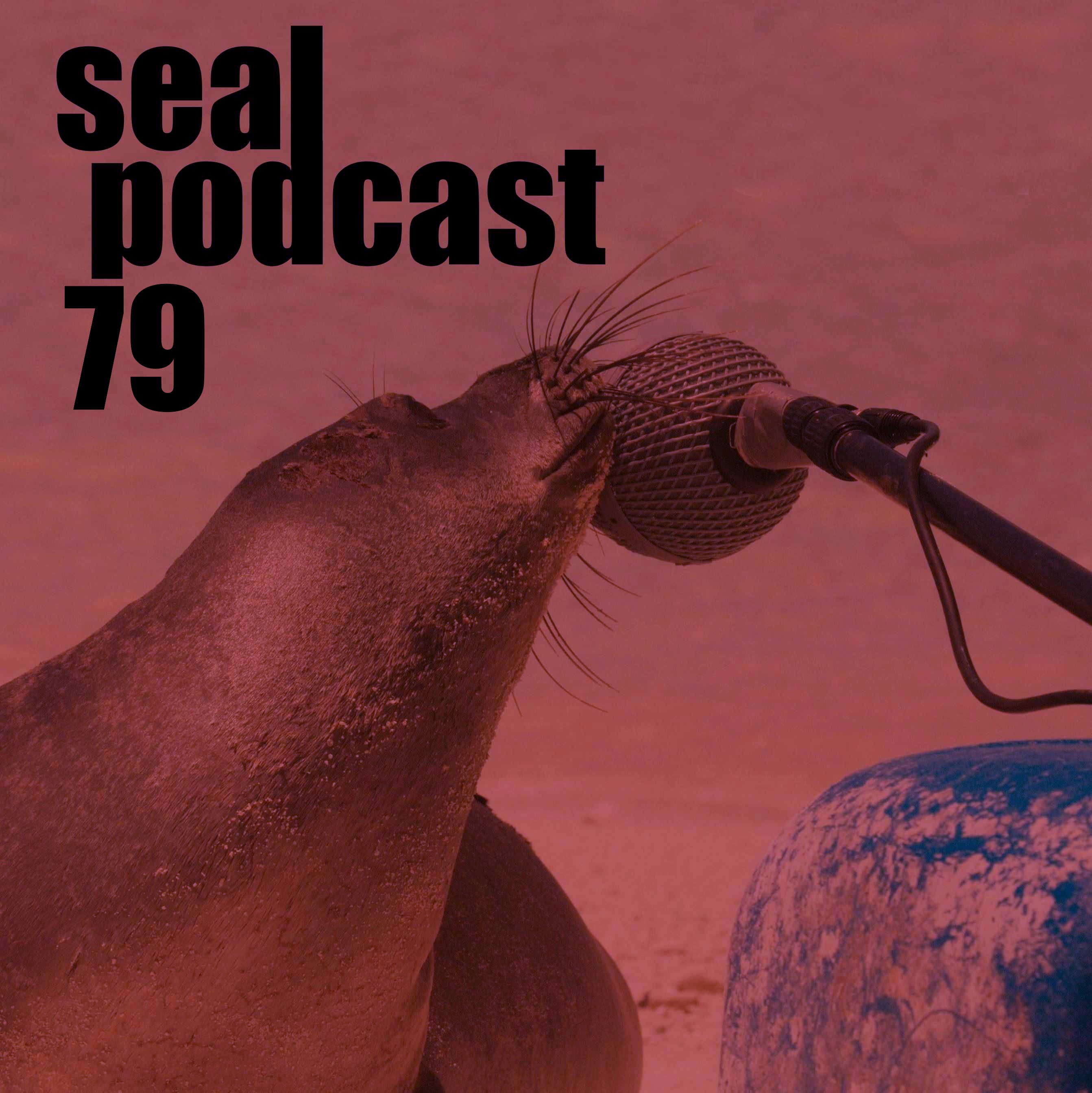 The Seal Podcast