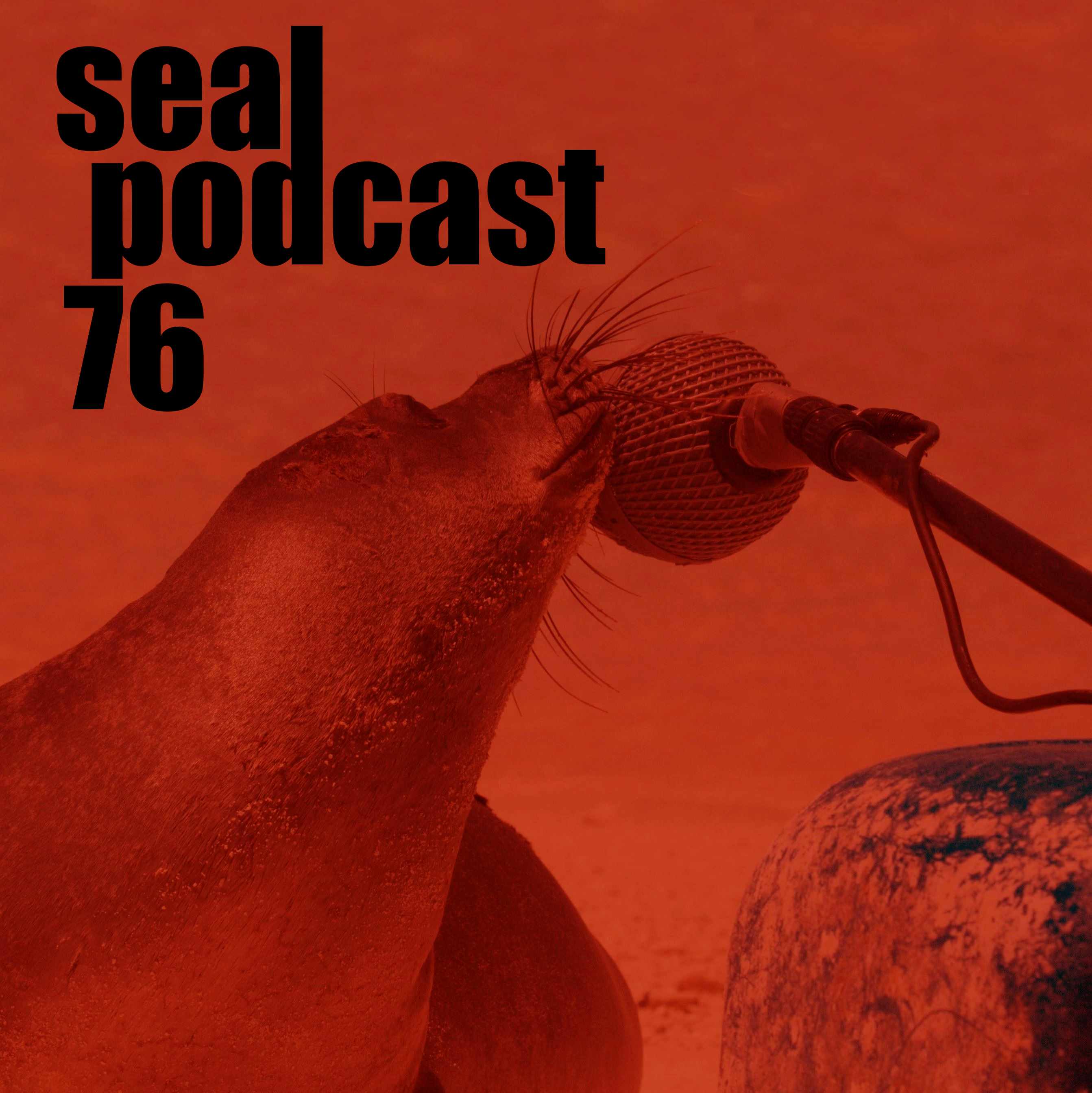The Seal Podcast