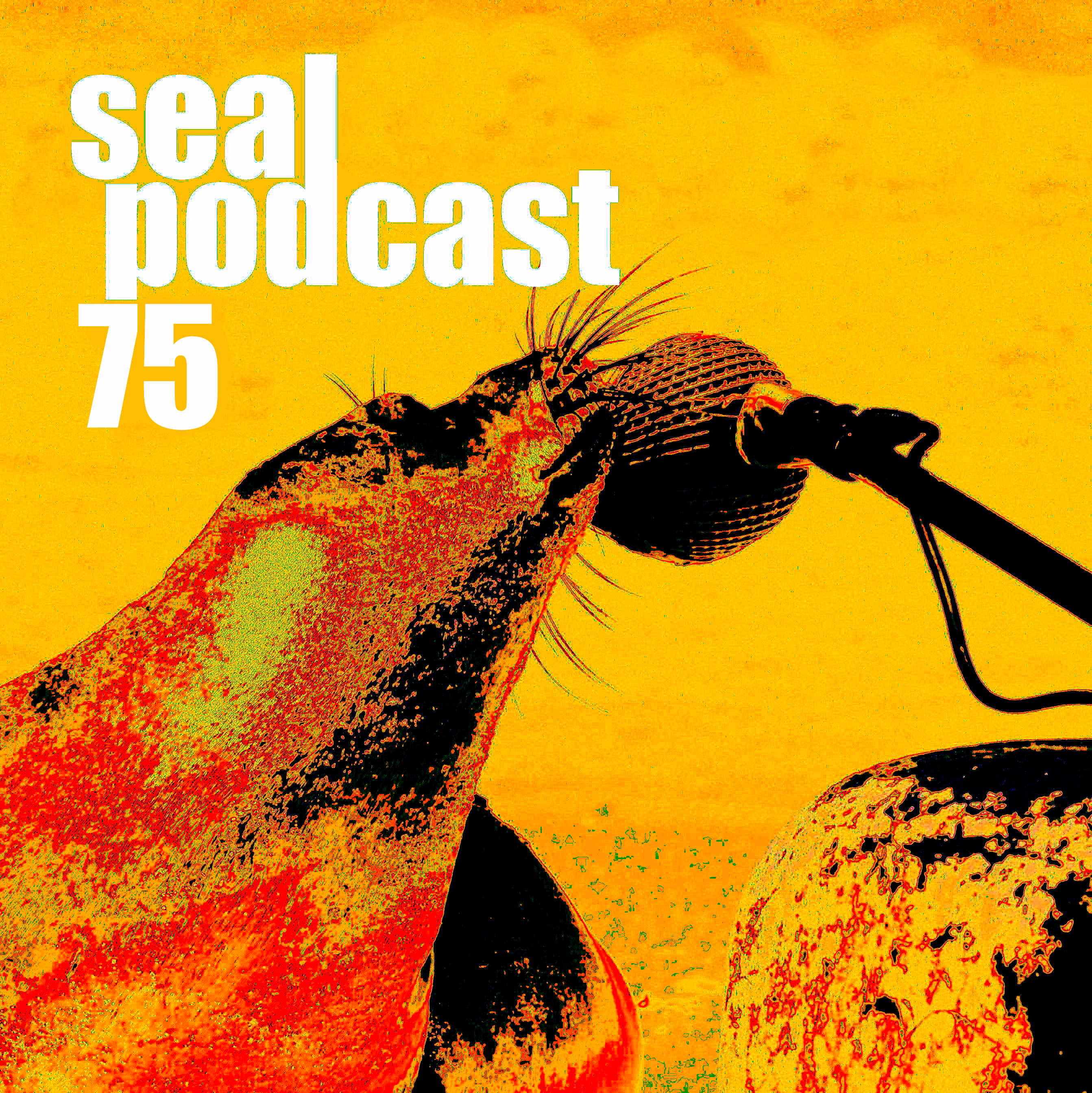The Seal Podcast