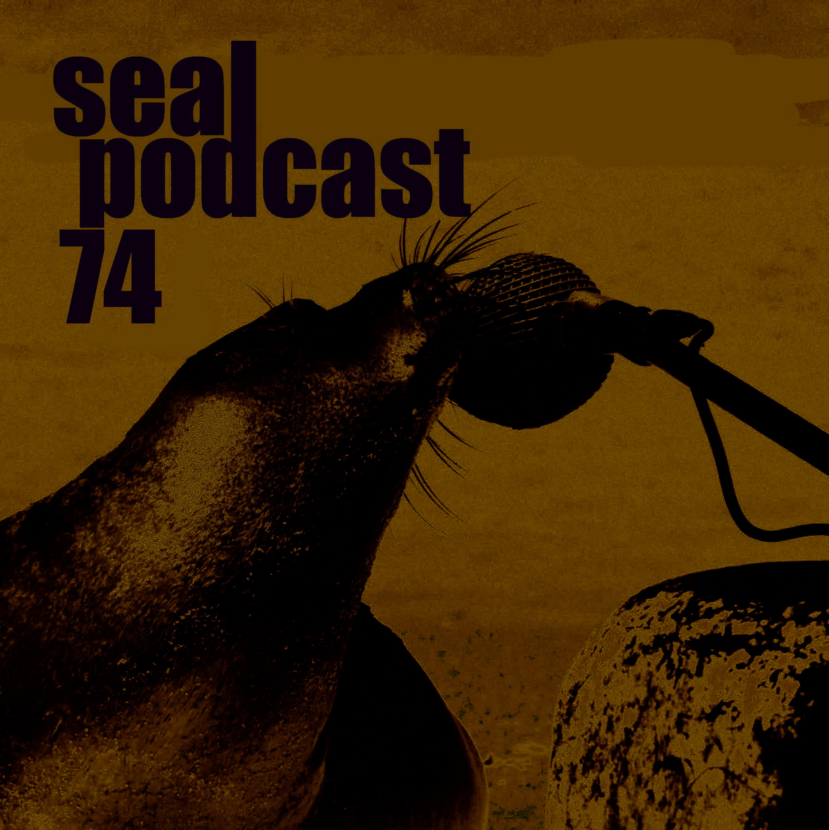 The Seal Podcast