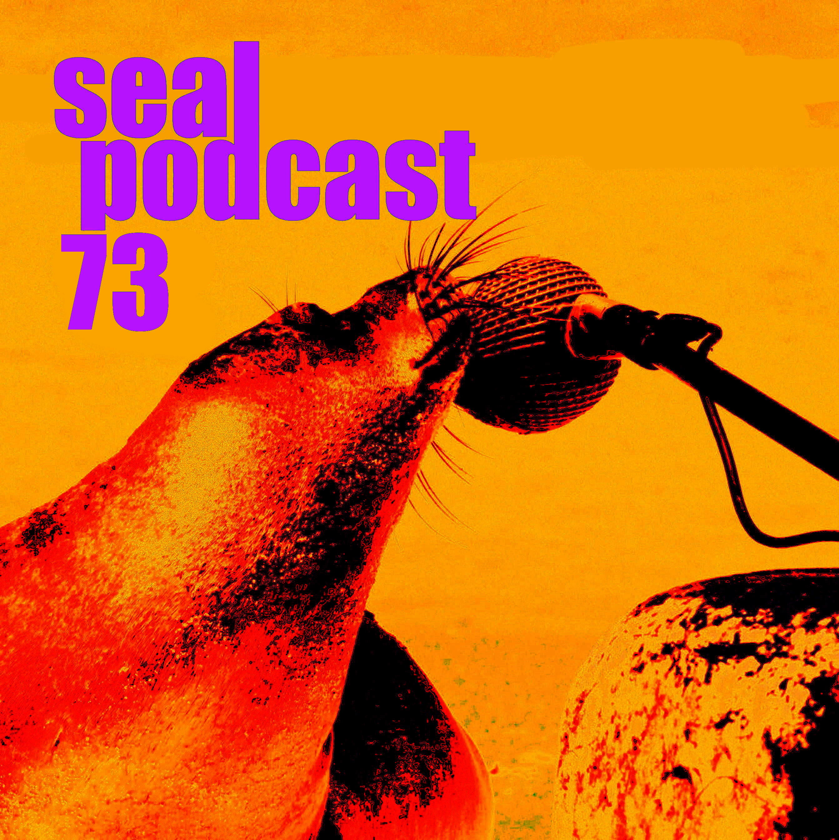 The Seal Podcast