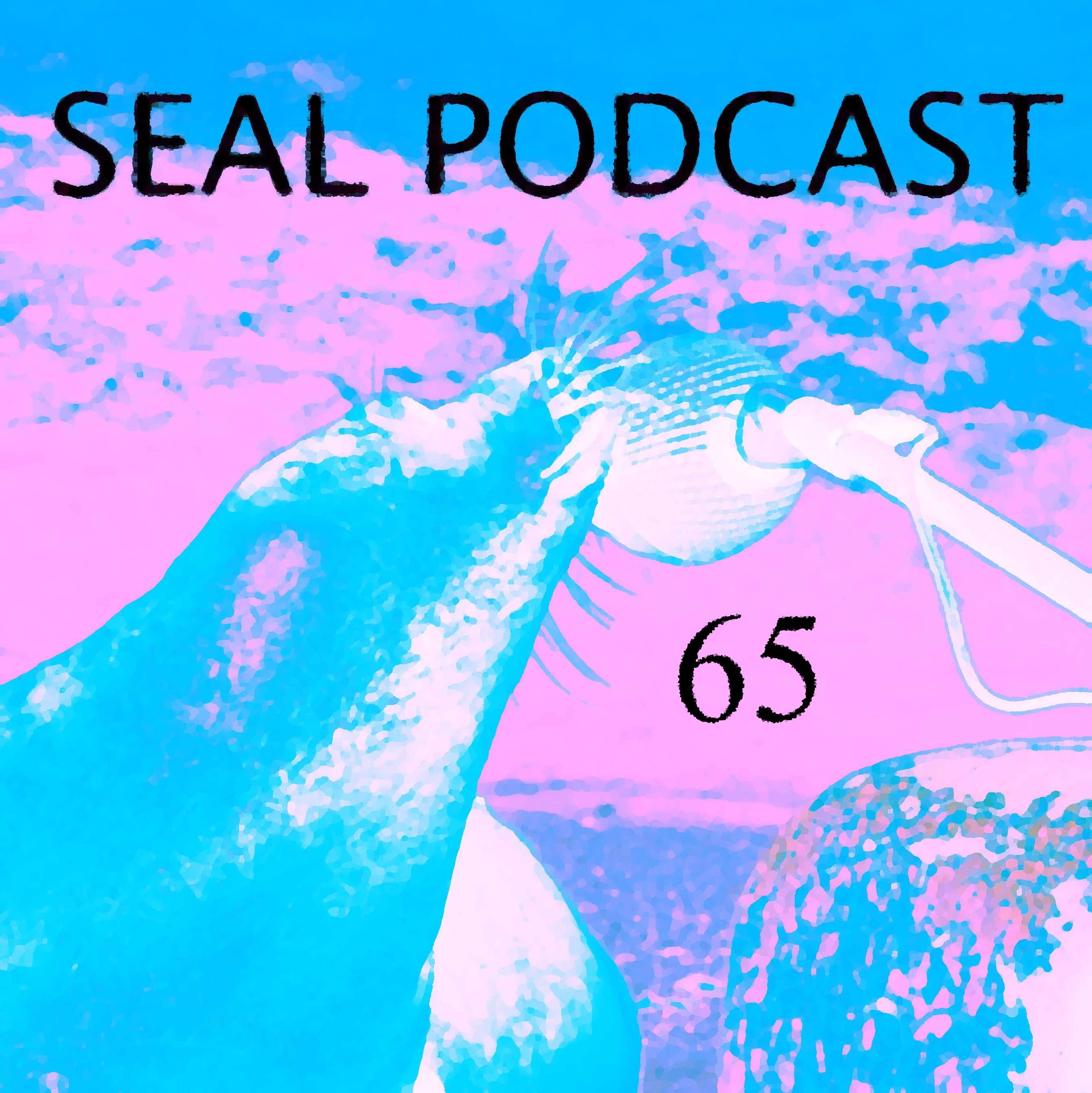 The Seal Podcast