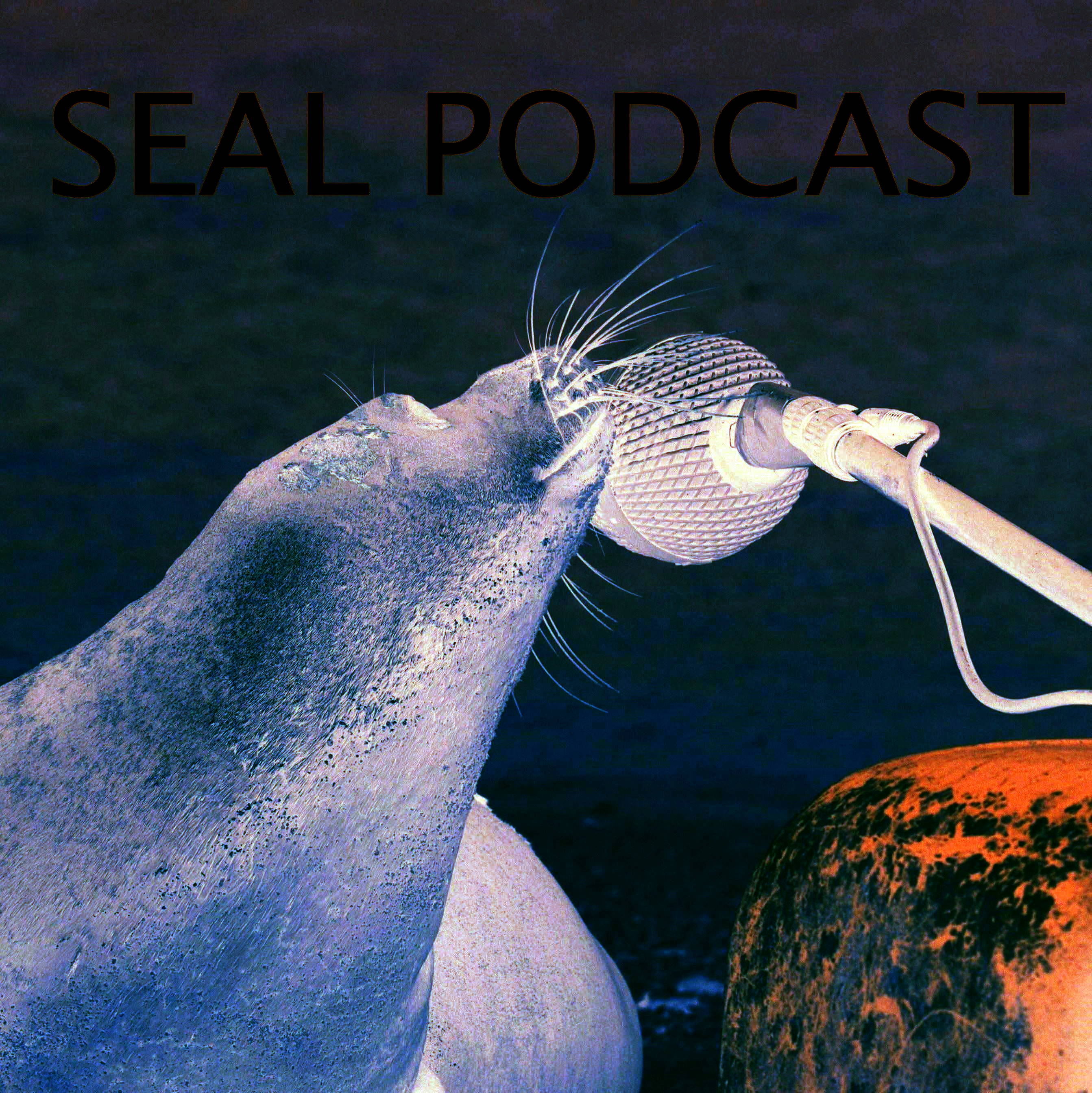 The Seal Podcast