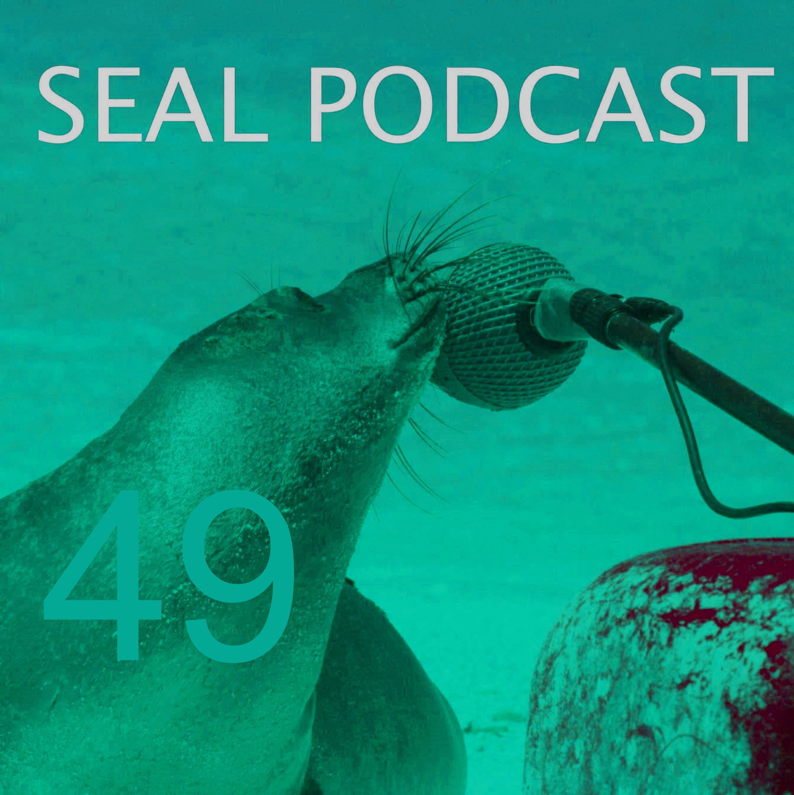 The Seal Podcast