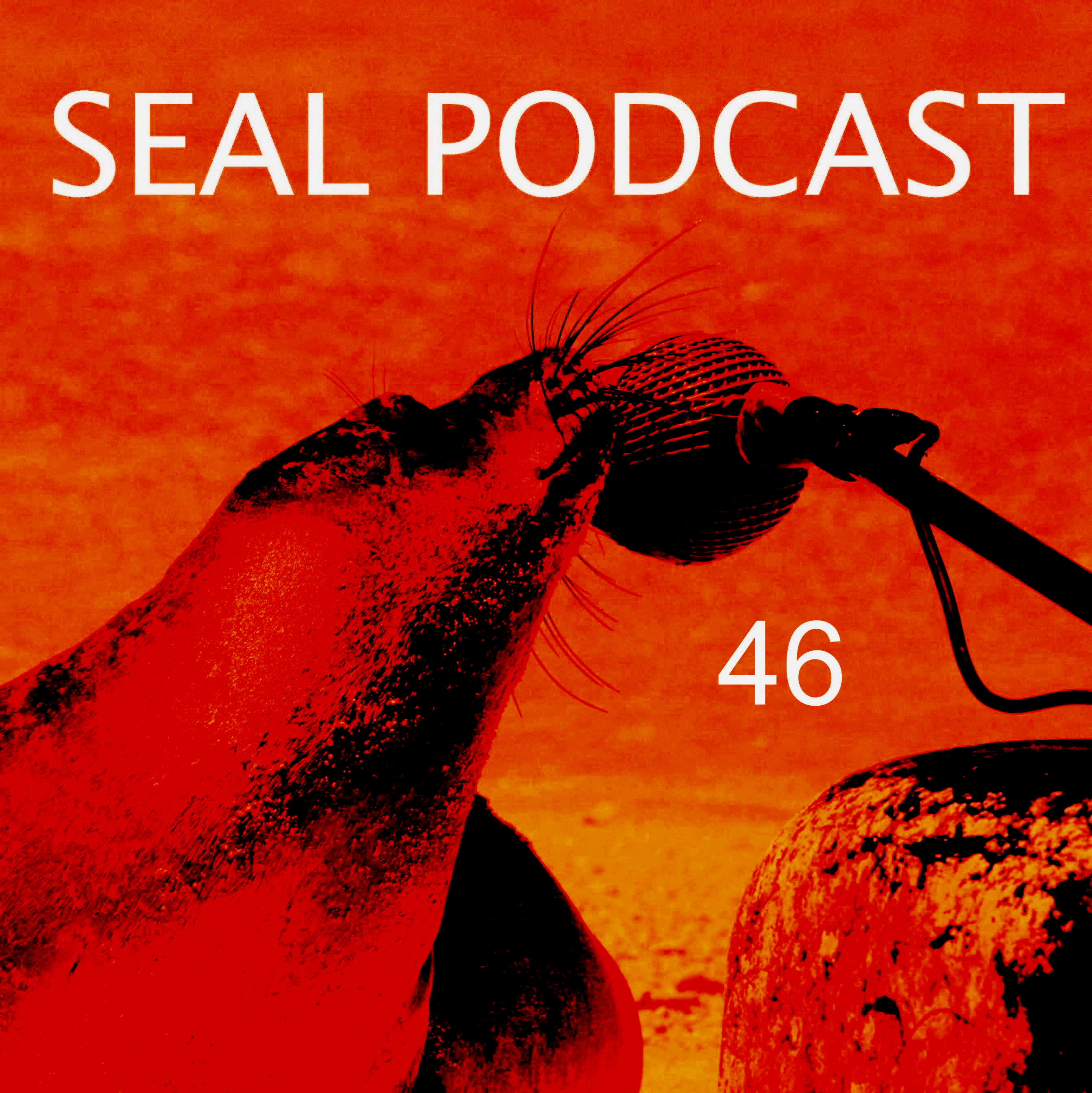 The Seal Podcast