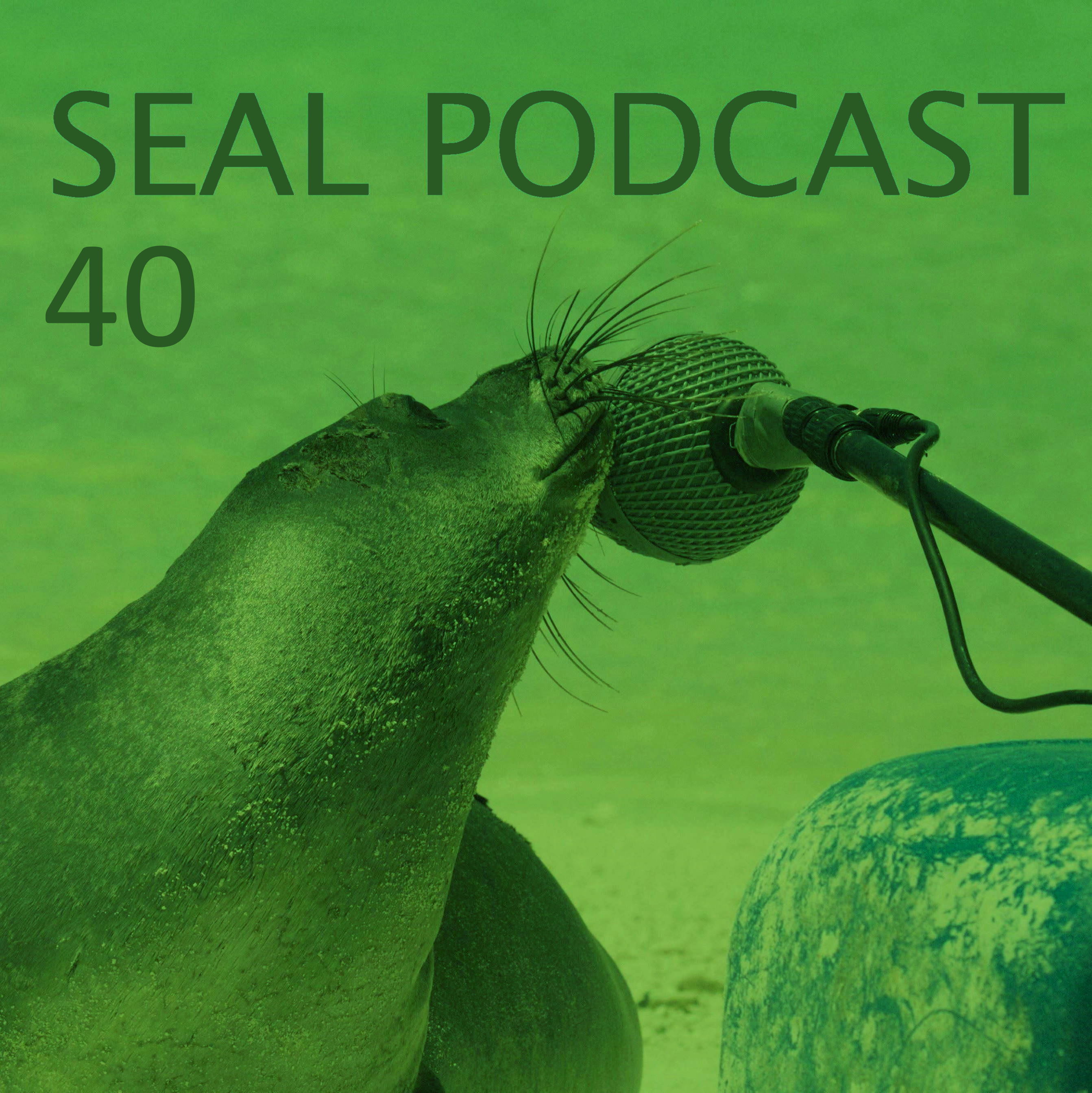 The Seal Podcast