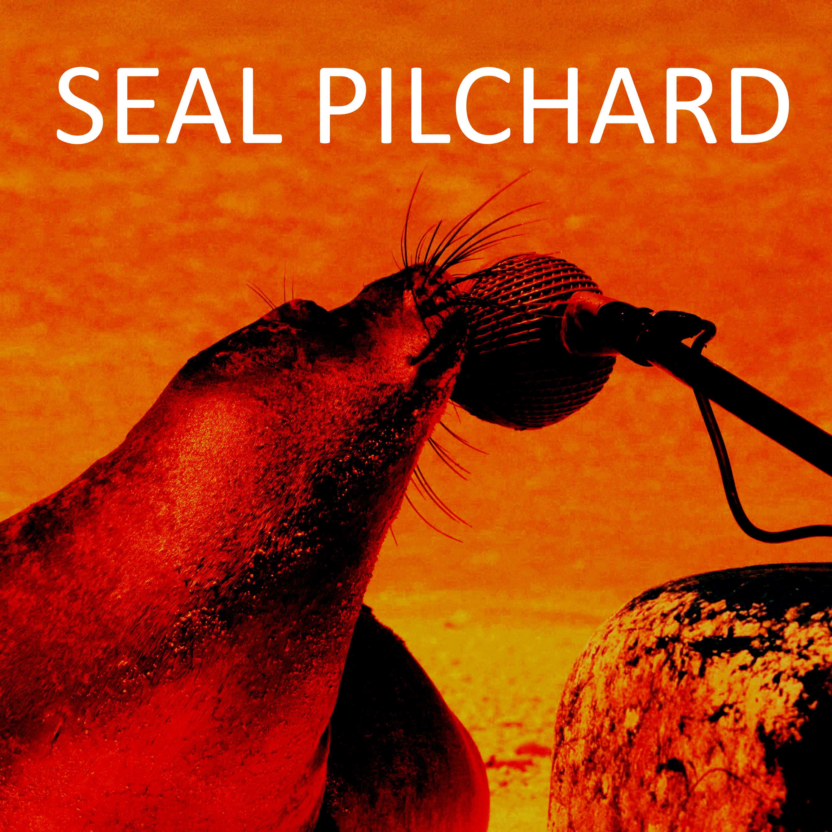 The Seal Podcast