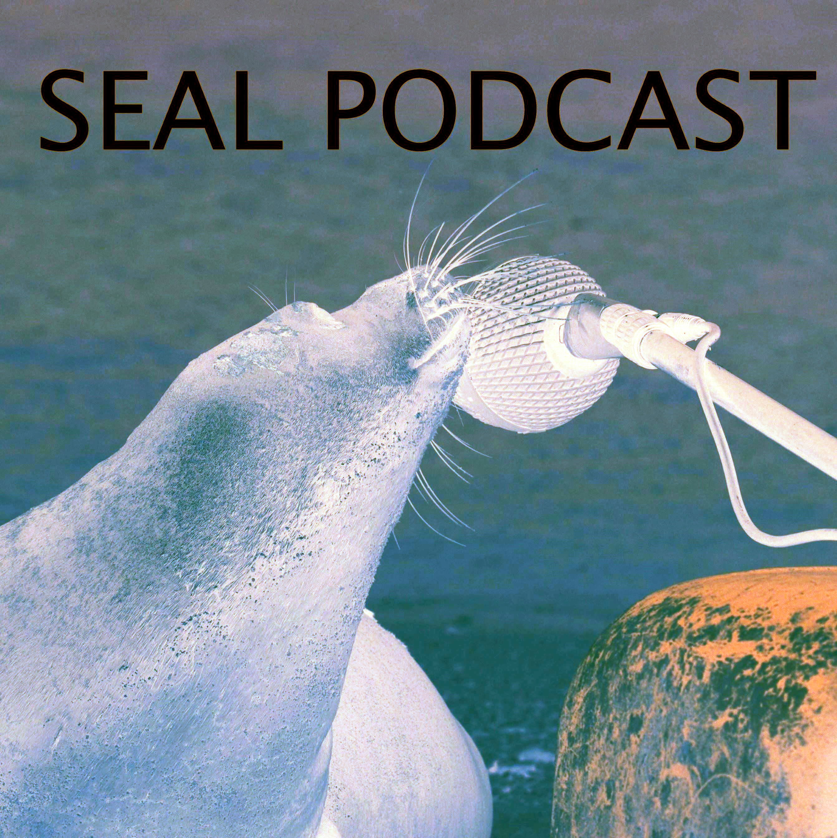 The Seal Podcast