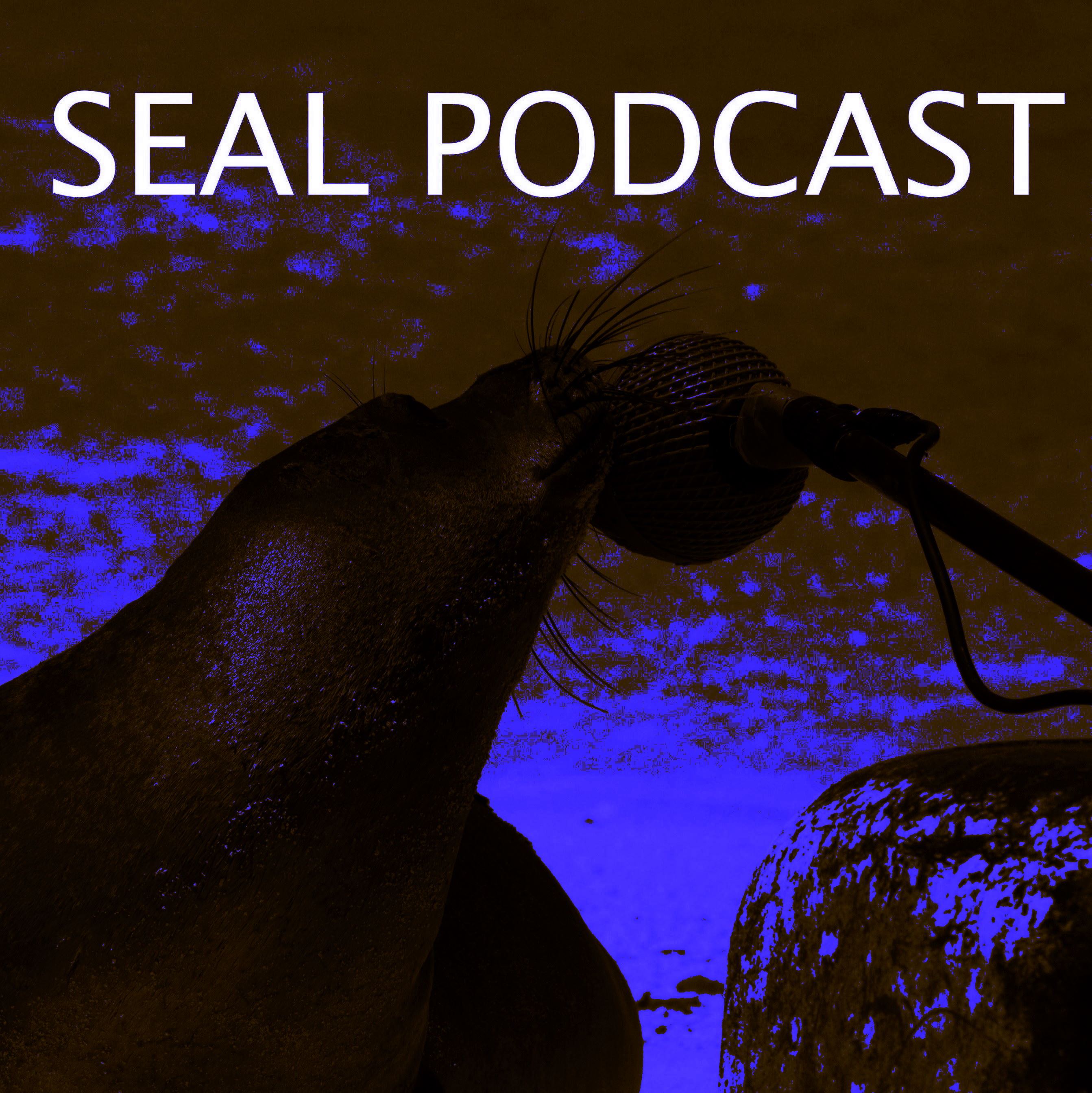 The Seal Podcast