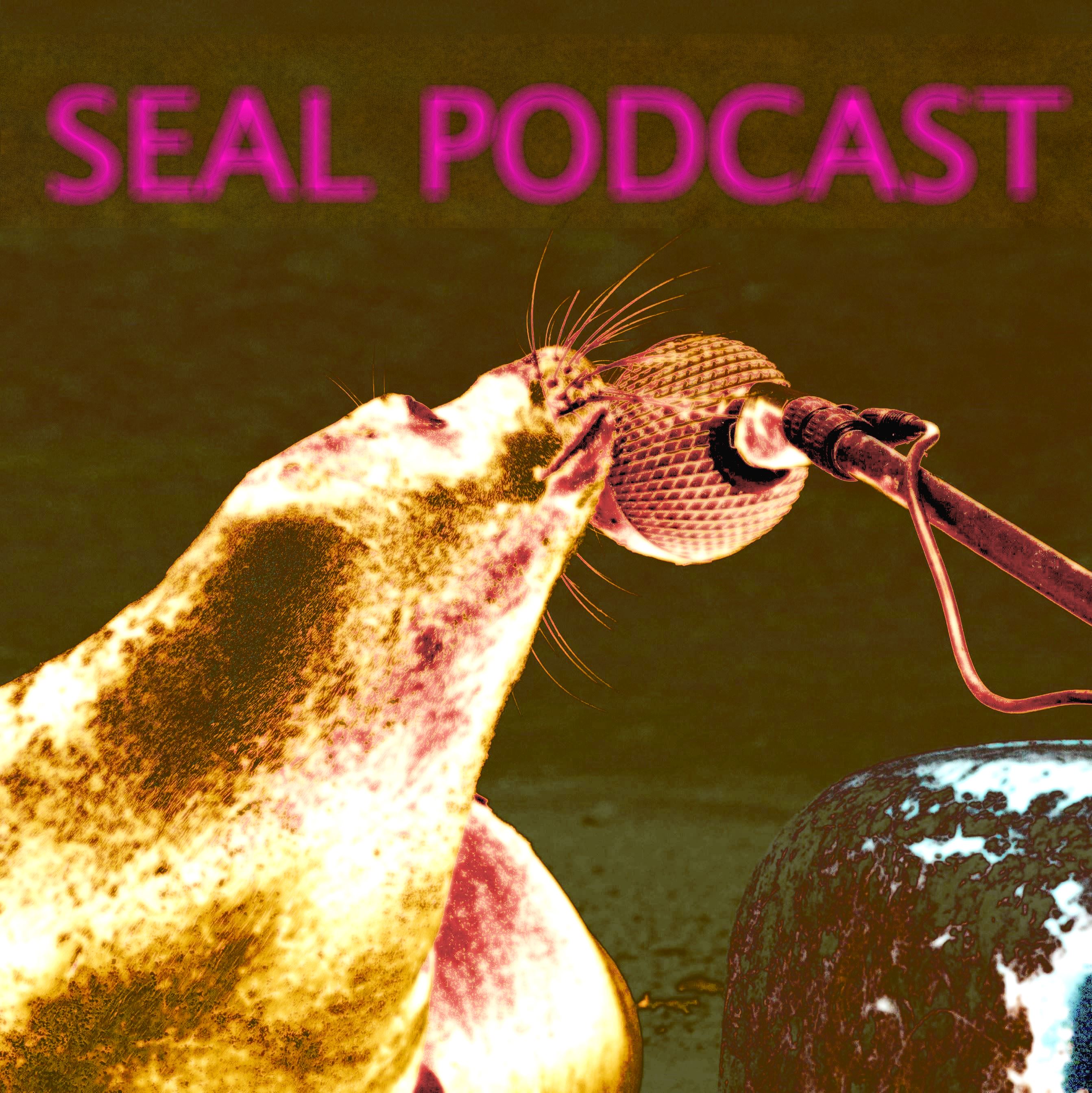 The Seal Podcast