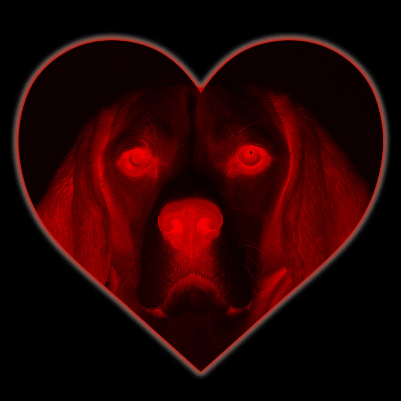 034 - Bespoke Dogloving
