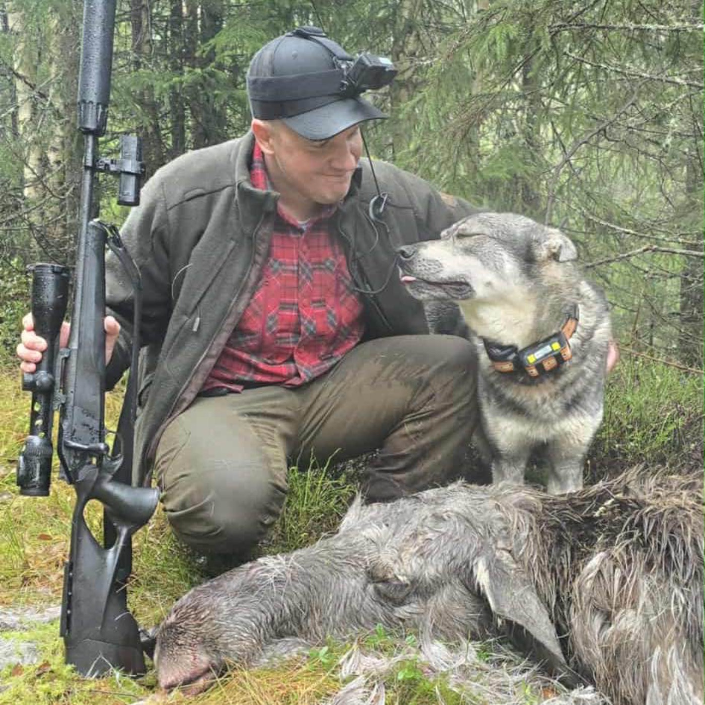 Elgjakta fortsetter og Bjørnar skyter sin første elg i los for egen hund