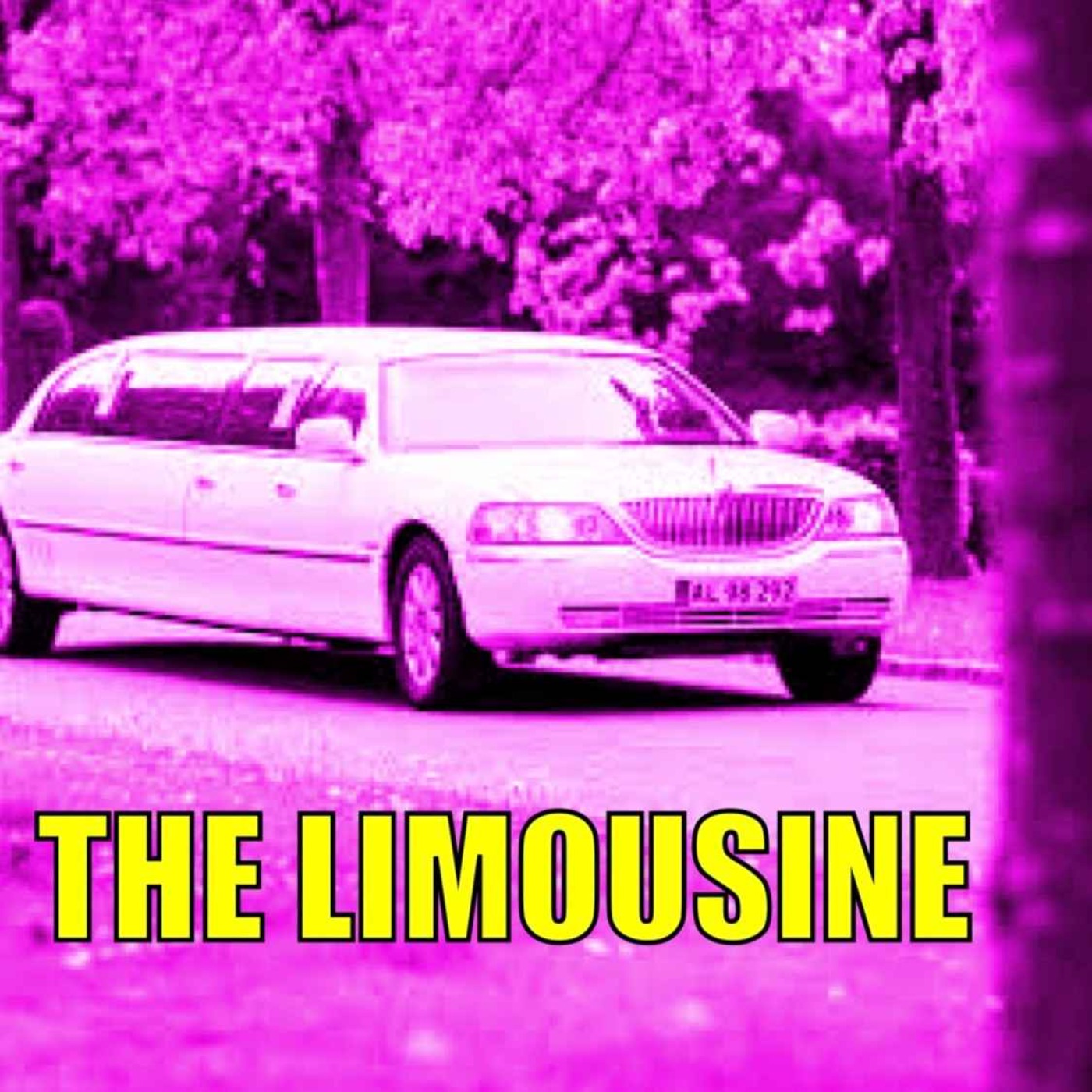Seinfeld: The Limousine