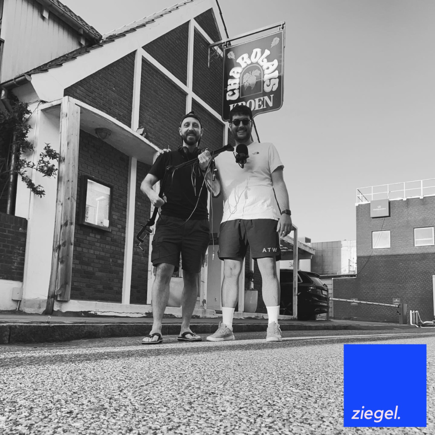 ziegel.