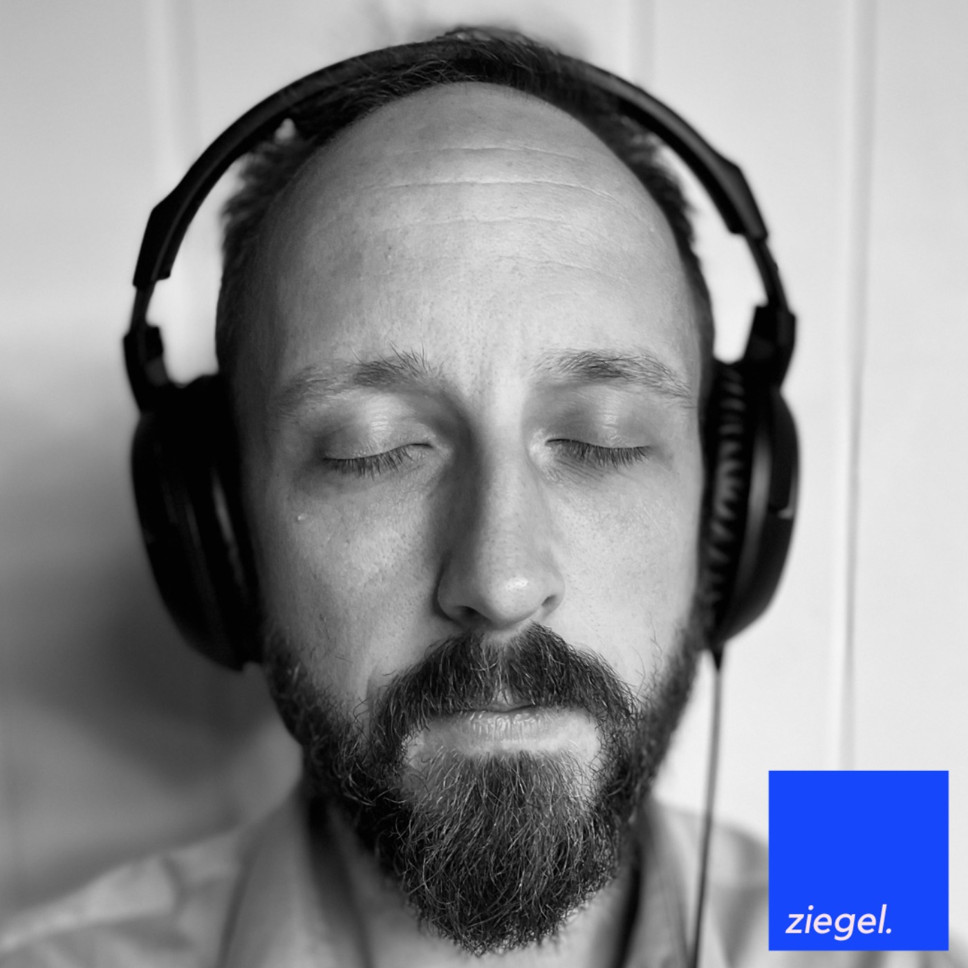 ziegel.