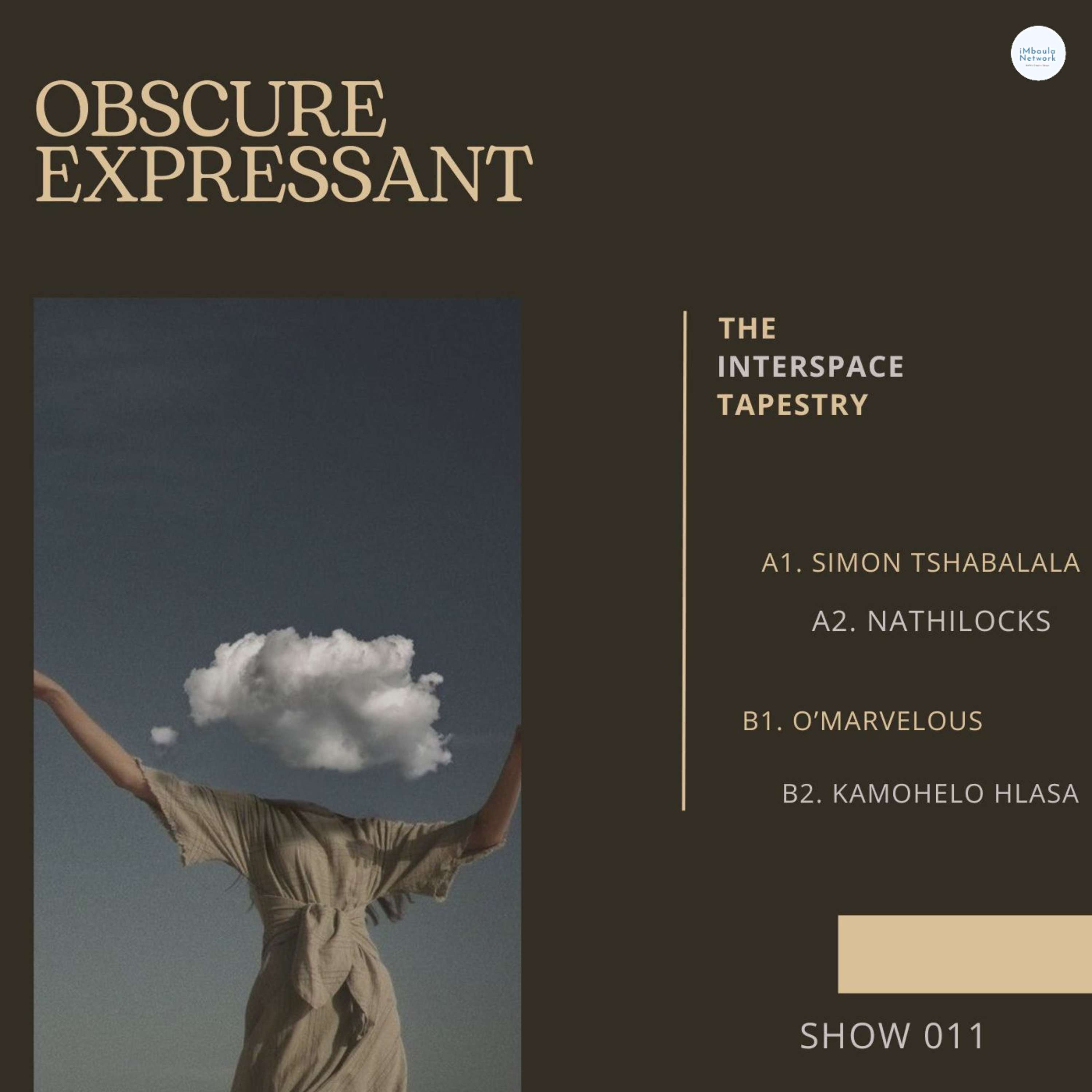 011. The Interspace Tapestry by O’marvelous (SA) episode artwork