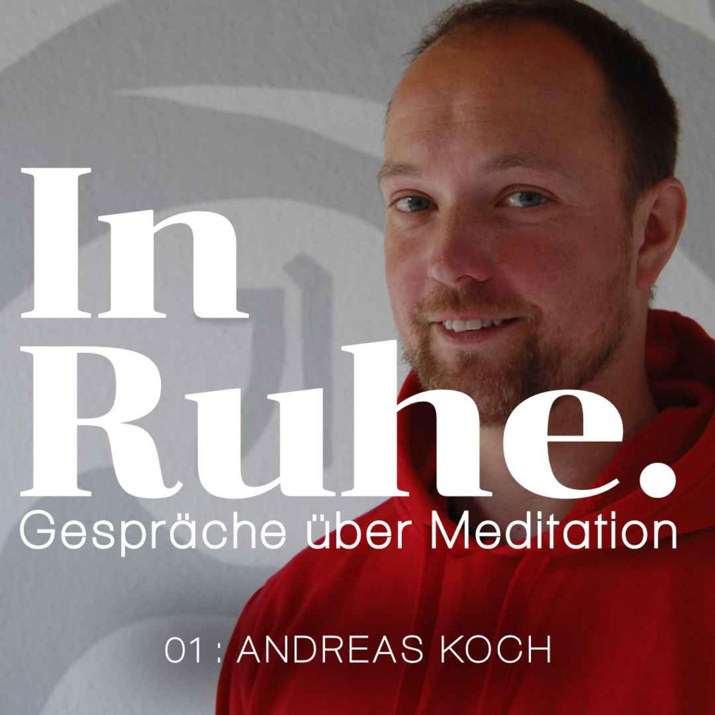 In Ruhe. Gespräche über Meditation