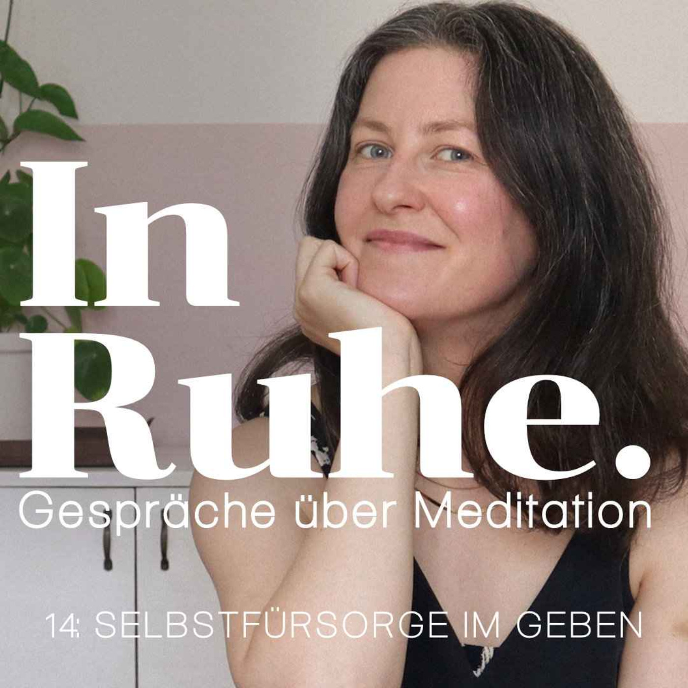 In Ruhe. Gespräche über Meditation